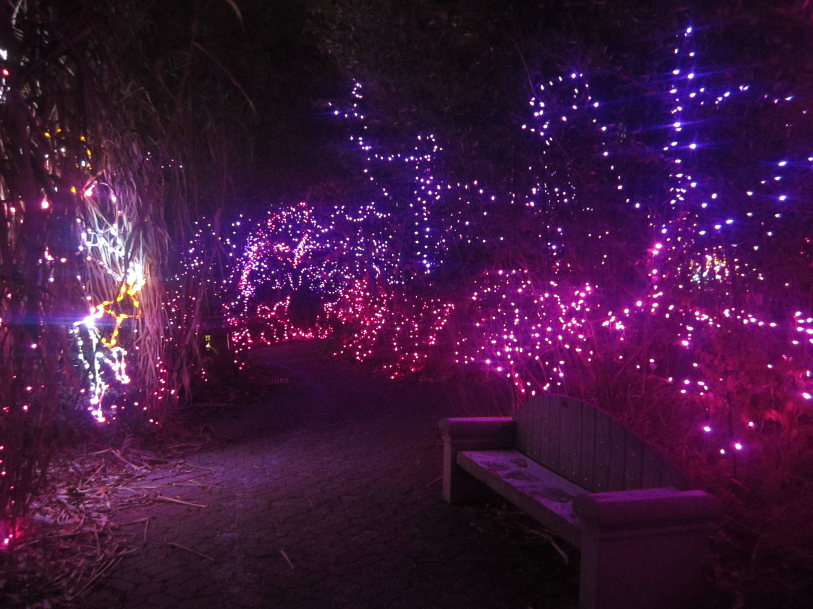 Festival of Lights 2013 - Fairyland Trail