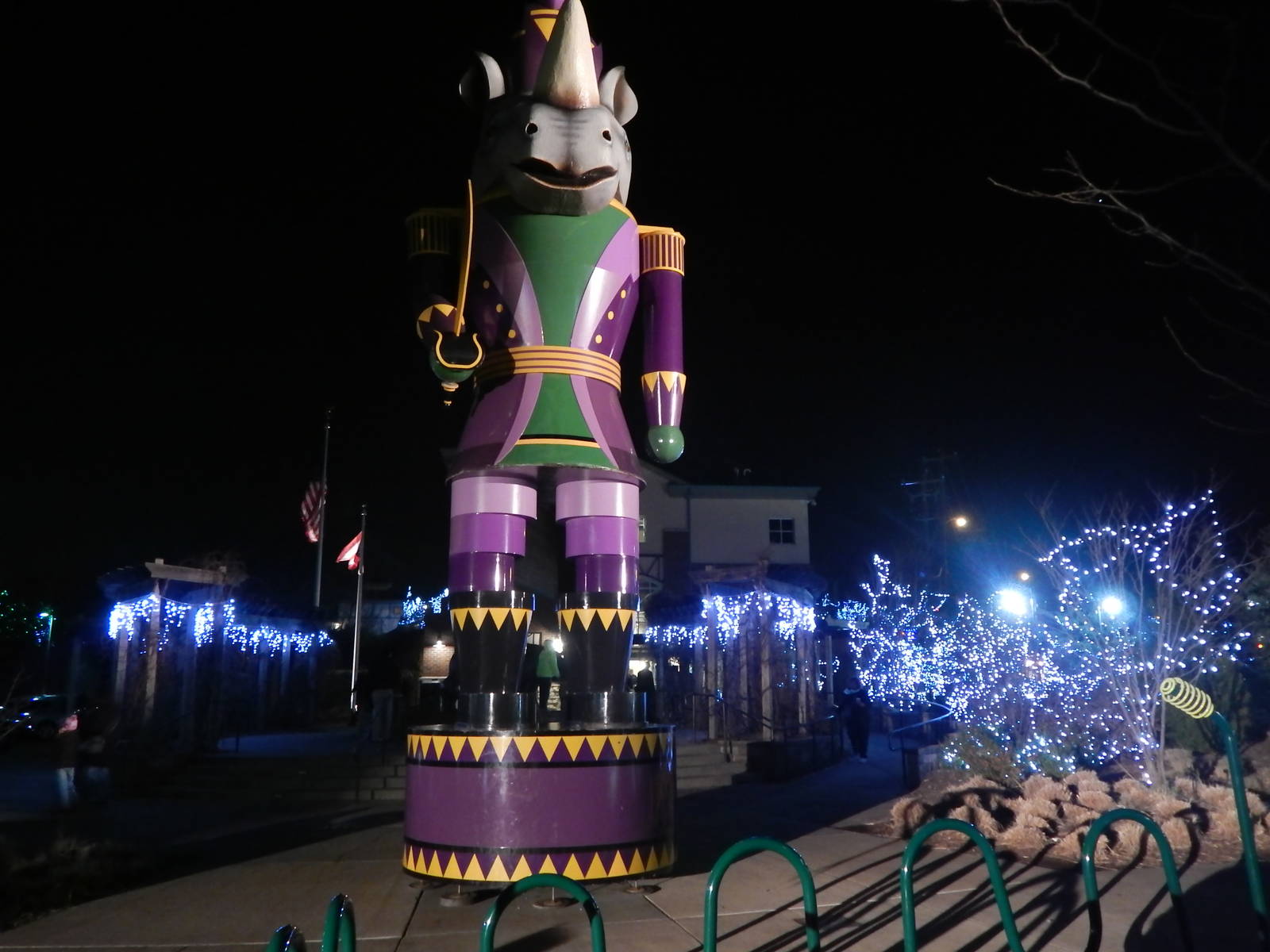 Festival of Lights 2013 - First Entrance