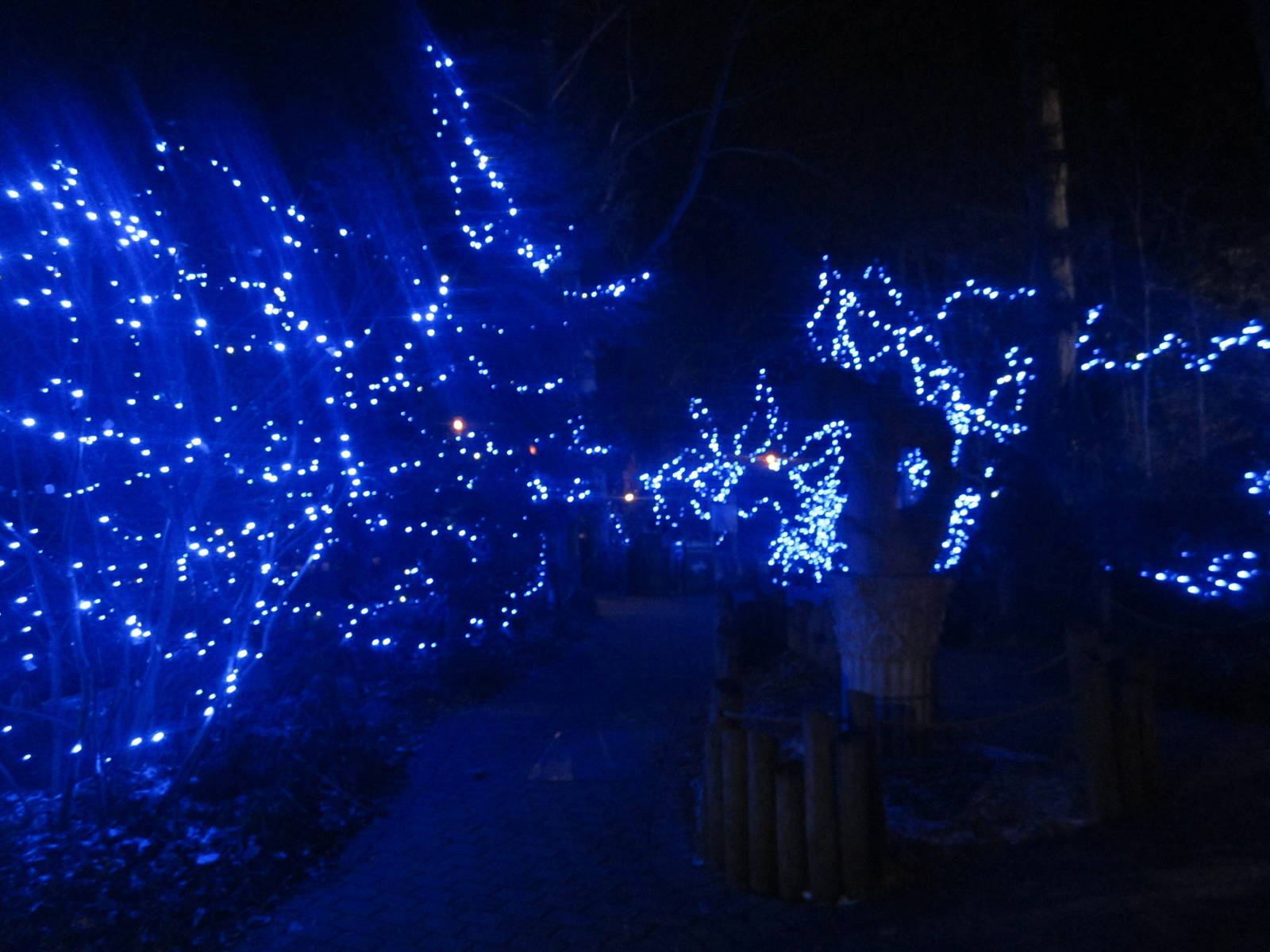 Festival of Lights 2013 - Garden of Peace