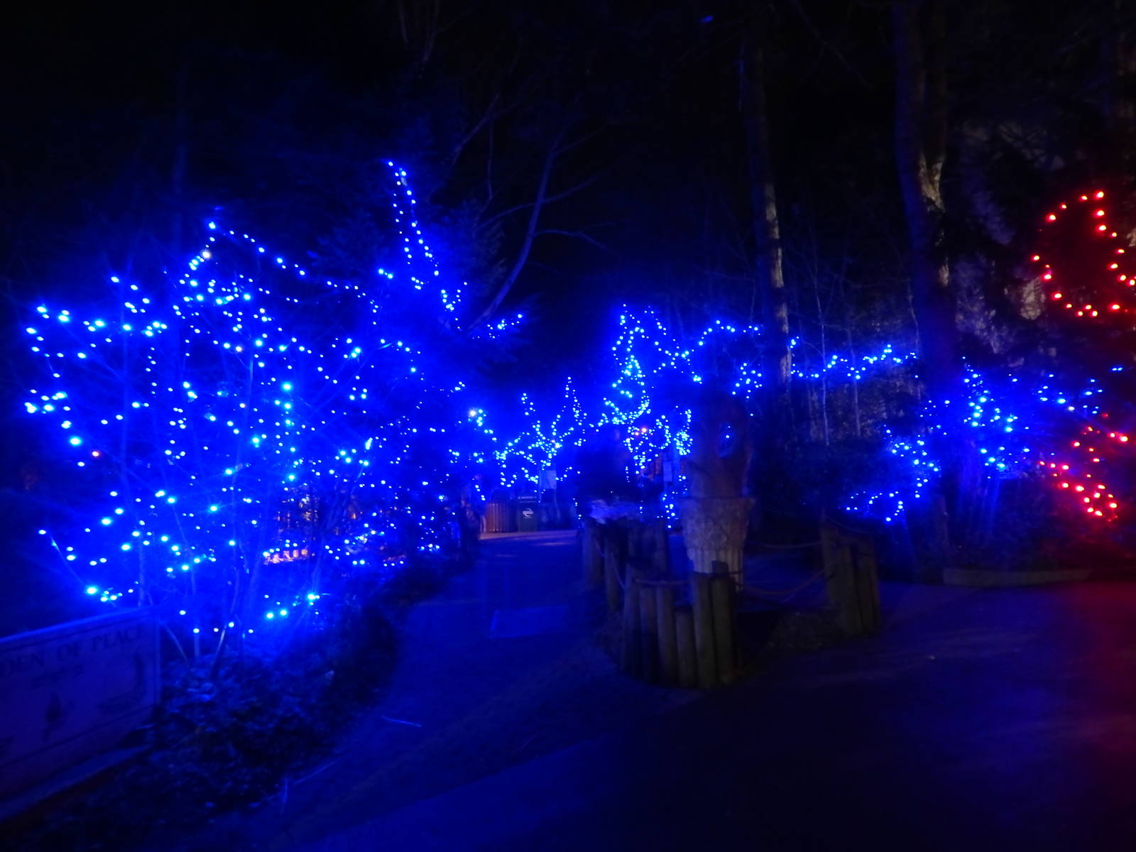 Festival of Lights 2013 - Garden of Peace