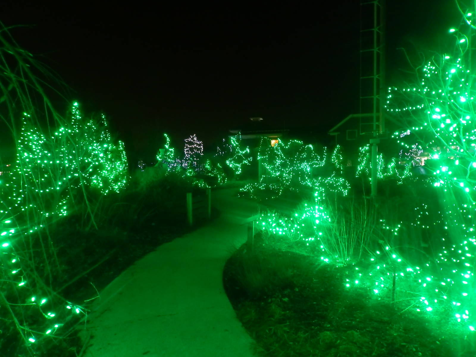 Festival of Lights 2013 - Go Green Garden