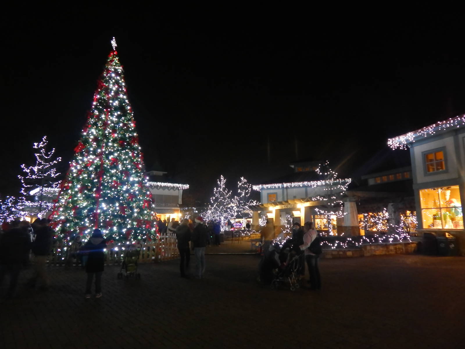 Festival of Lights 2013 - Historic Vine Street Village