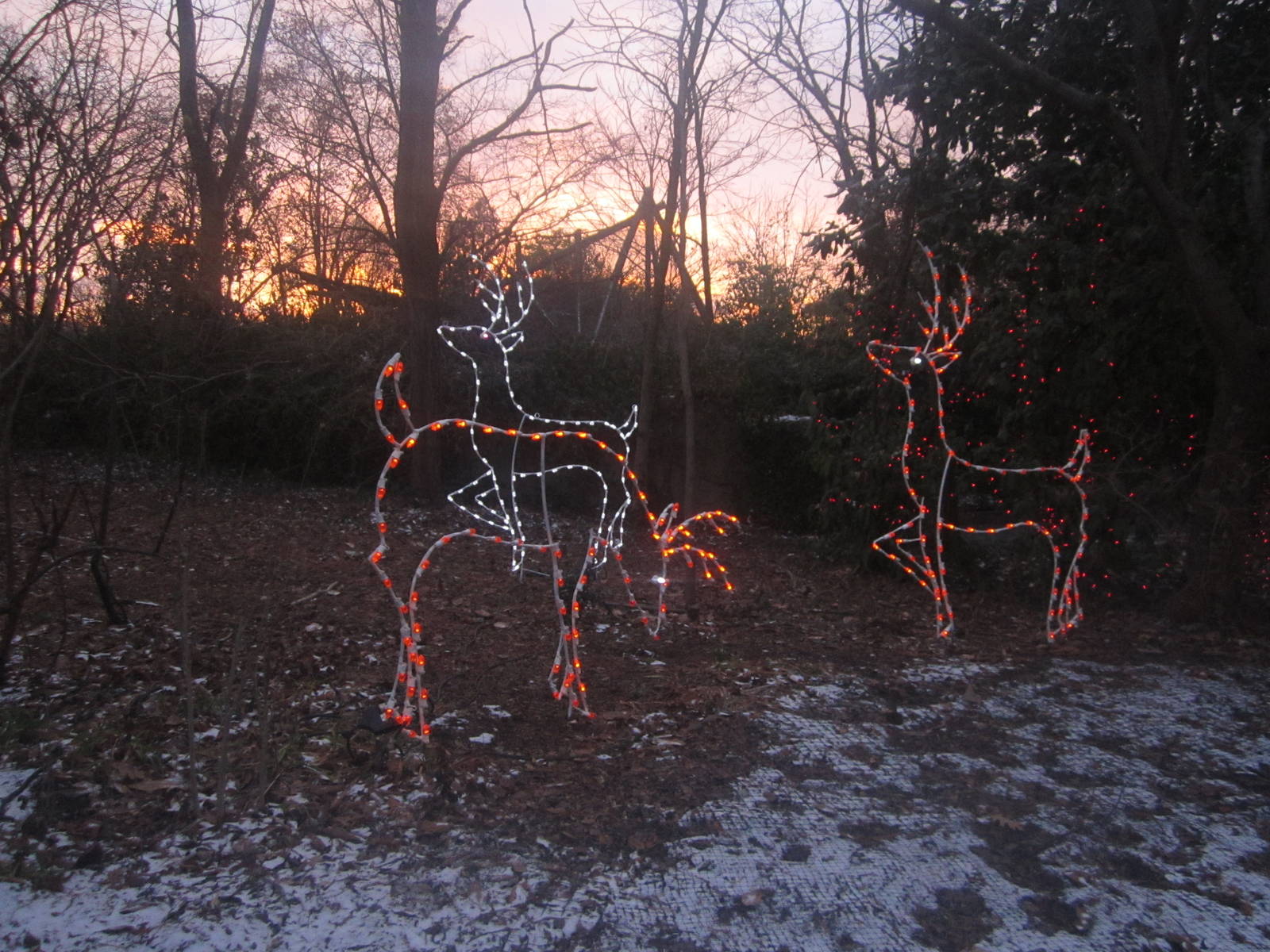 Festival of Lights 2013 - Holiday Decorations