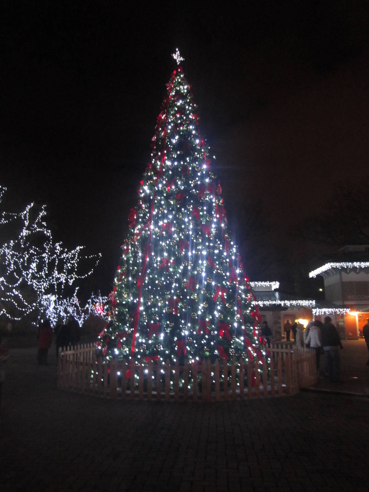 Festival of Lights 2013 - International Tree