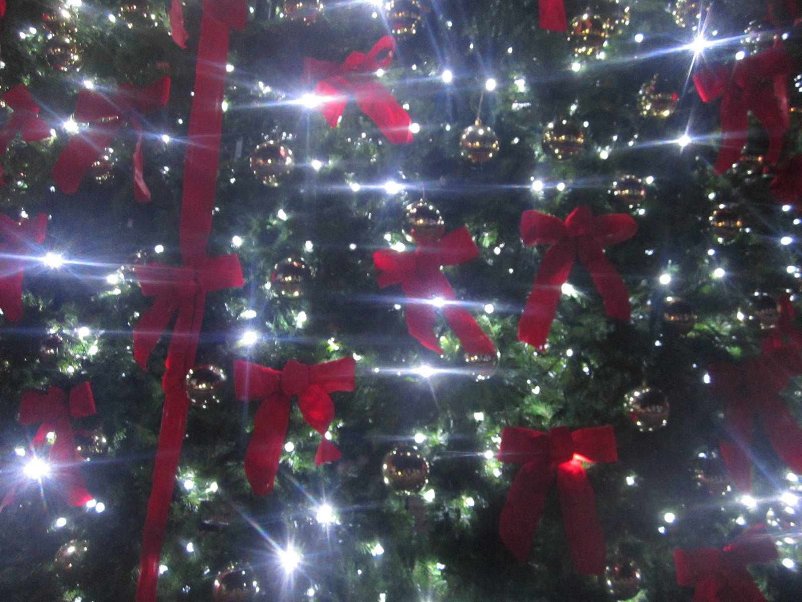 Festival of Lights 2013 - International Tree