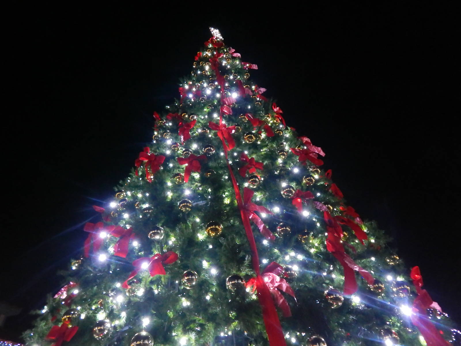 Festival of Lights 2013 - International Tree