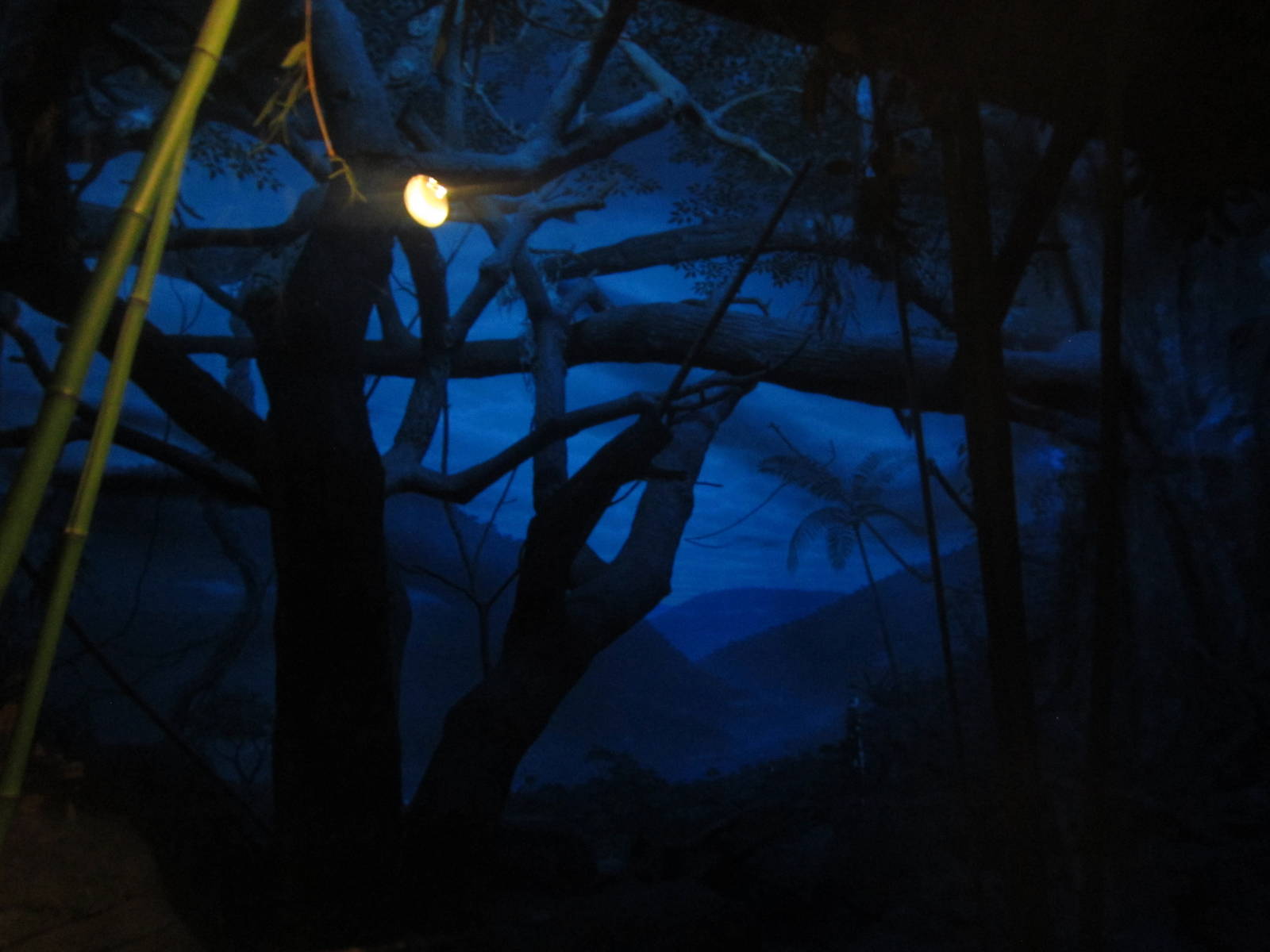 Festival of Lights 2013 - Jungle Trails - Aye-Aye Exhibit