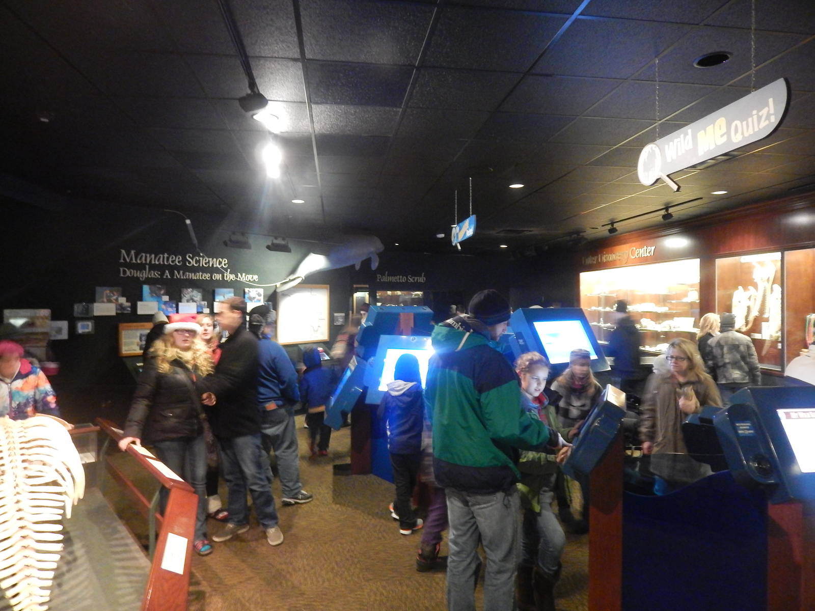 Festival of Lights 2013 - Manatee Springs - Manatee Wild Discovery Zone