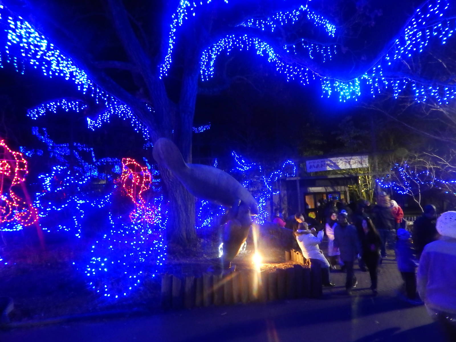 Festival of Lights 2013 - Manatee Springs