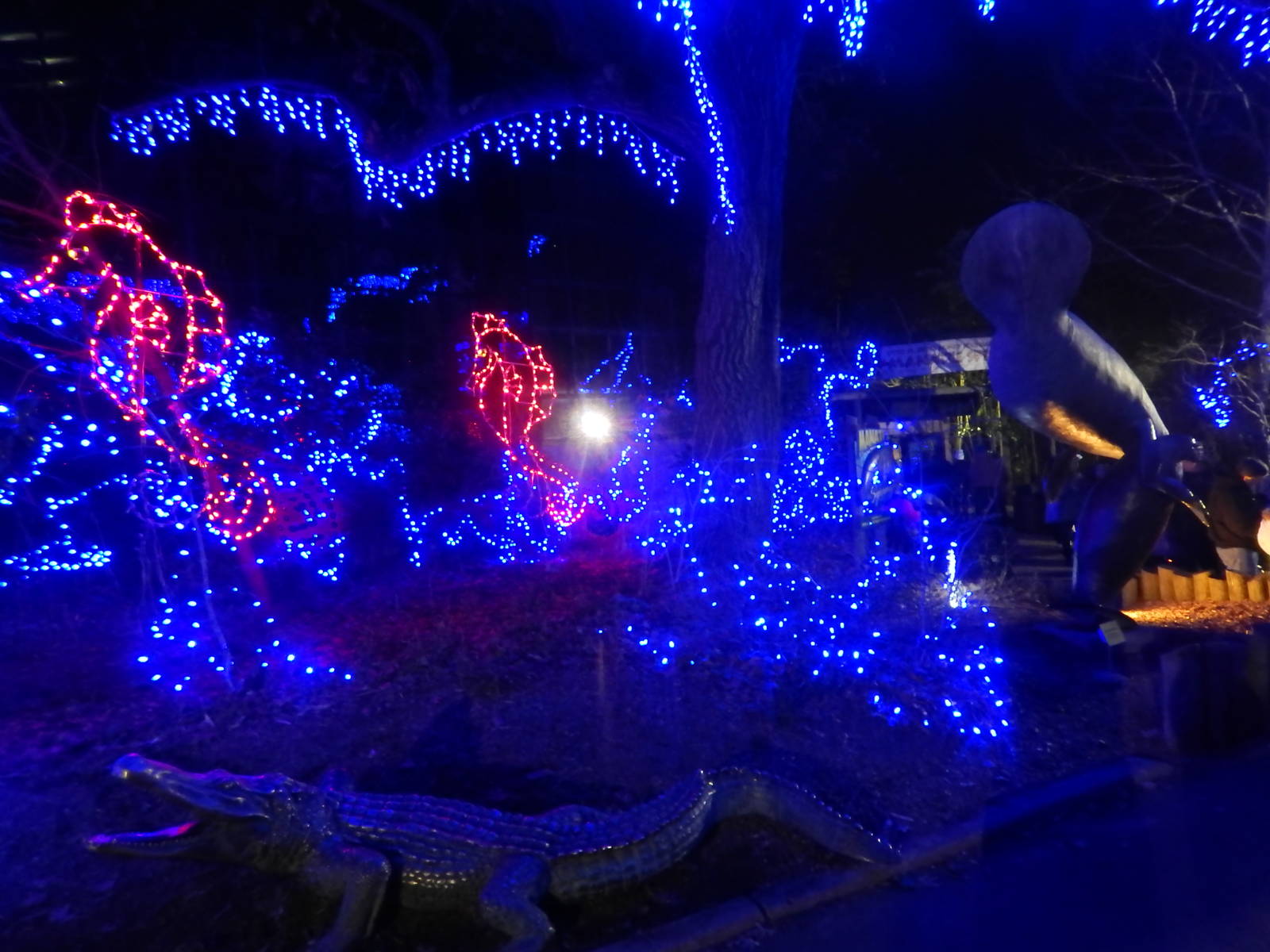 Festival of Lights 2013 - Manatee Springs