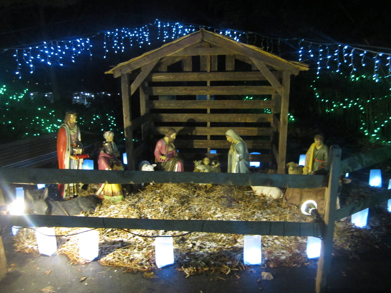 Festival of Lights 2013 - Nativity Scene