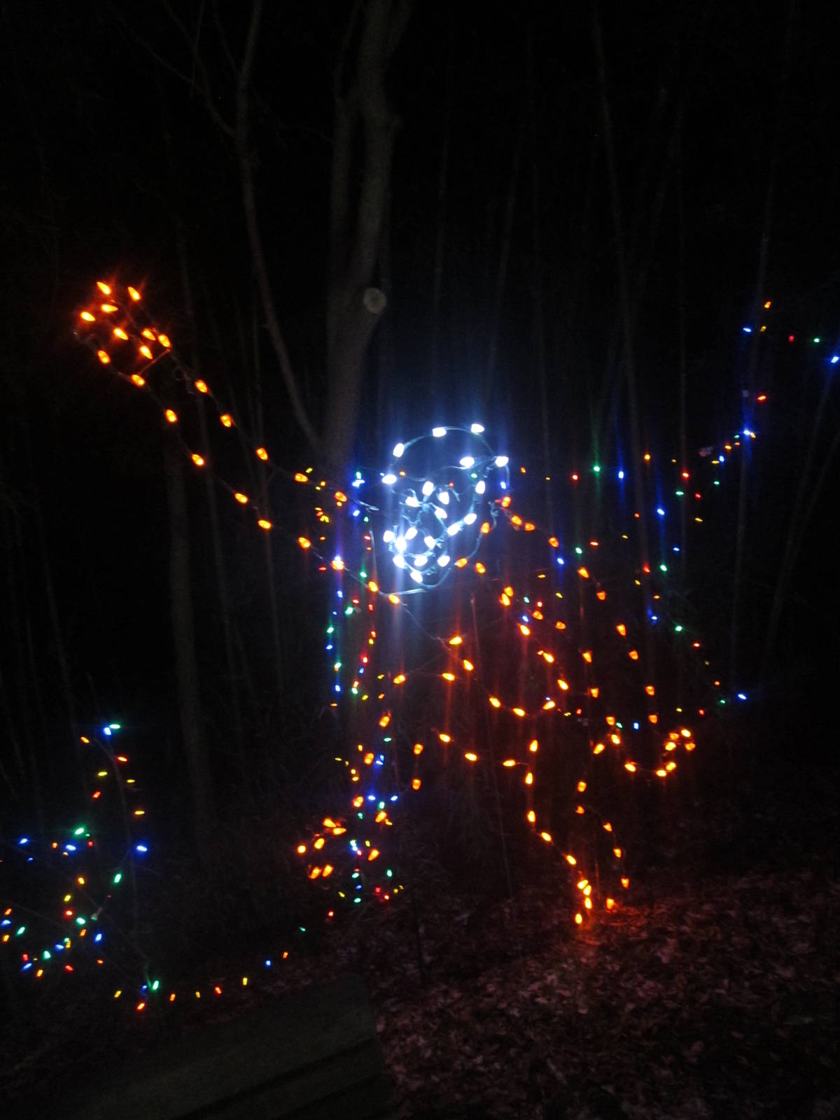 Festival of Lights 2013 - Orangutan Lights
