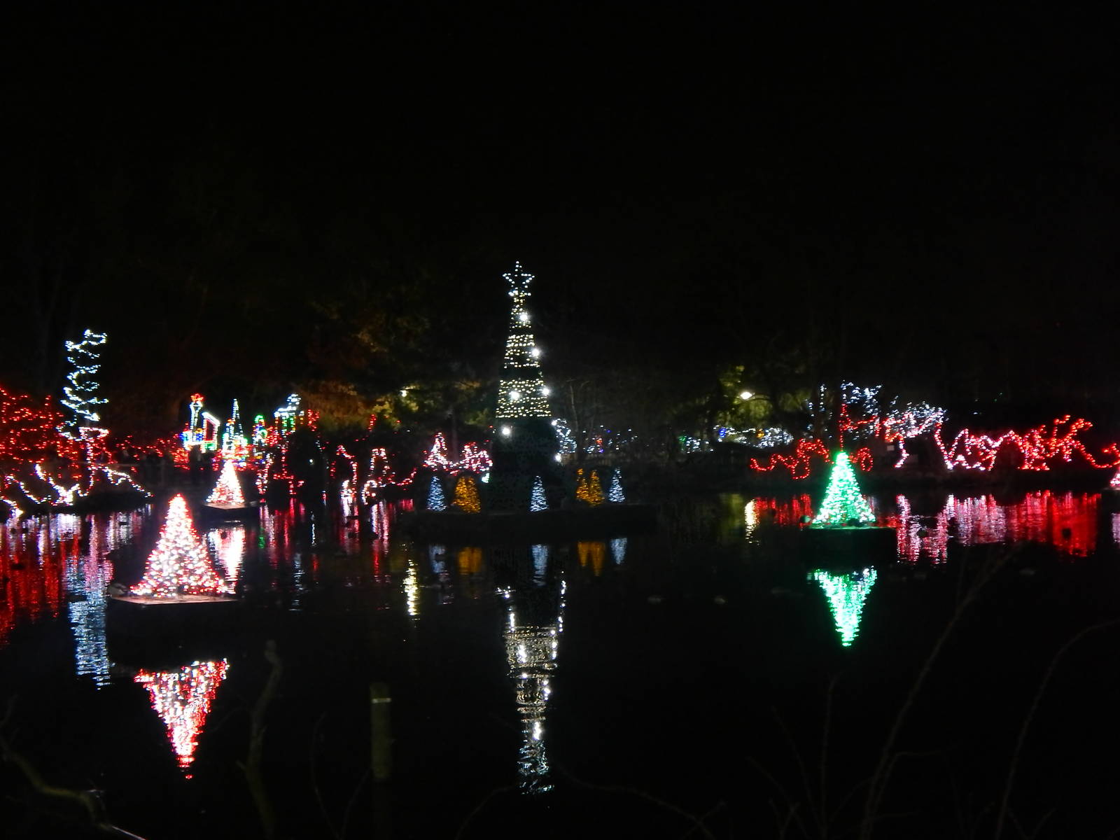 Festival of Lights 2013 - Swan Lake Wild Light Show