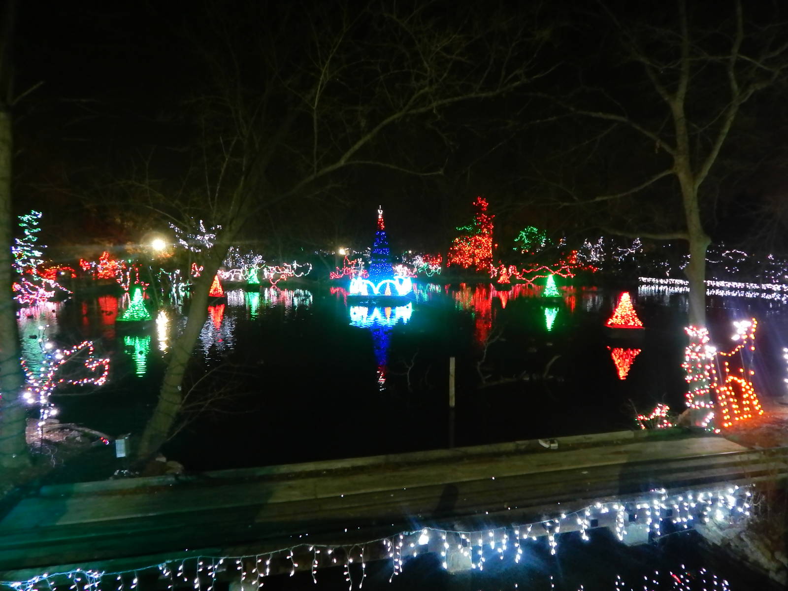 Festival of Lights 2013 - Swan Lake Wild Lights Show