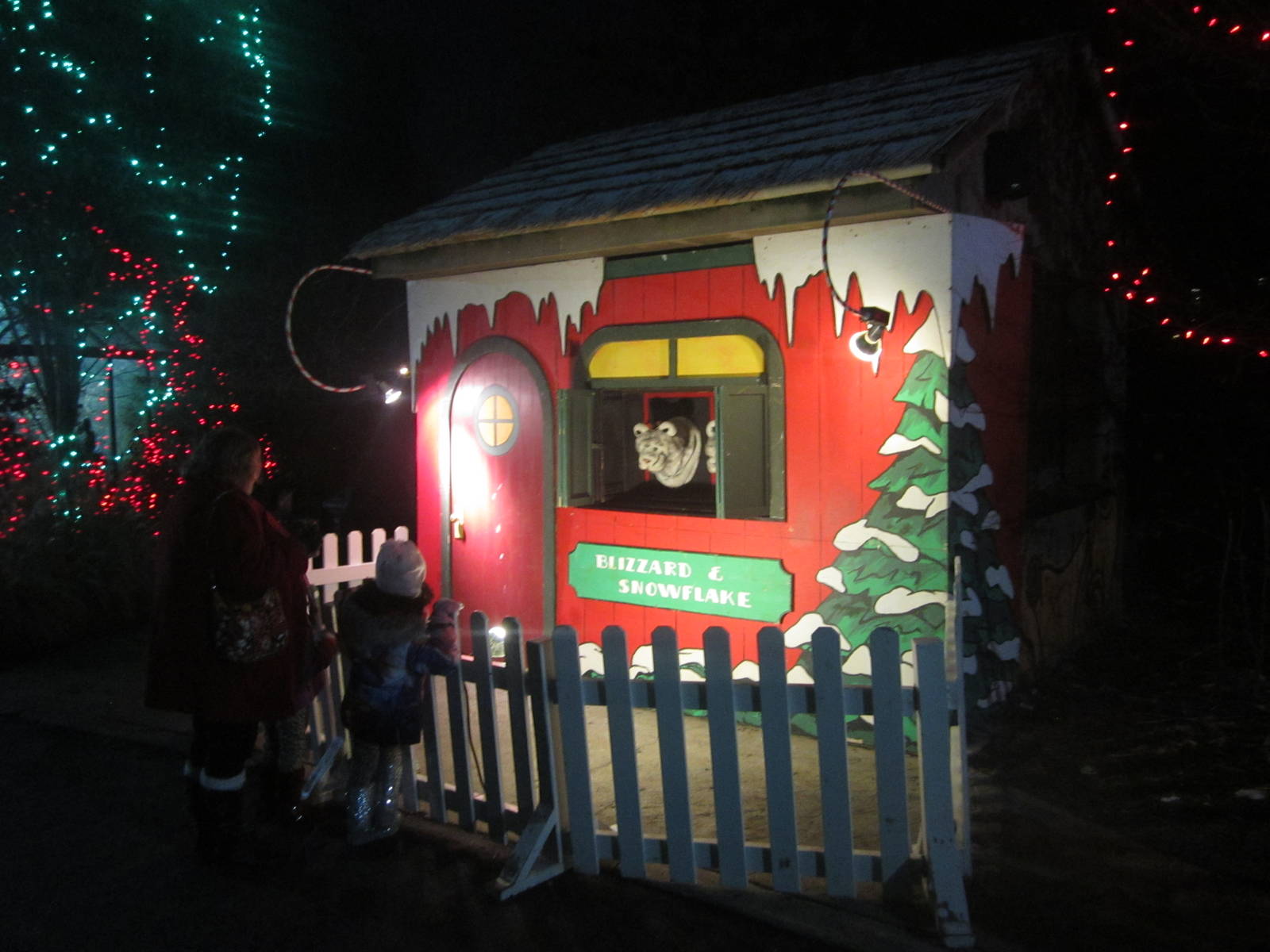 Festival of Lights 2013 - Talking Tigers