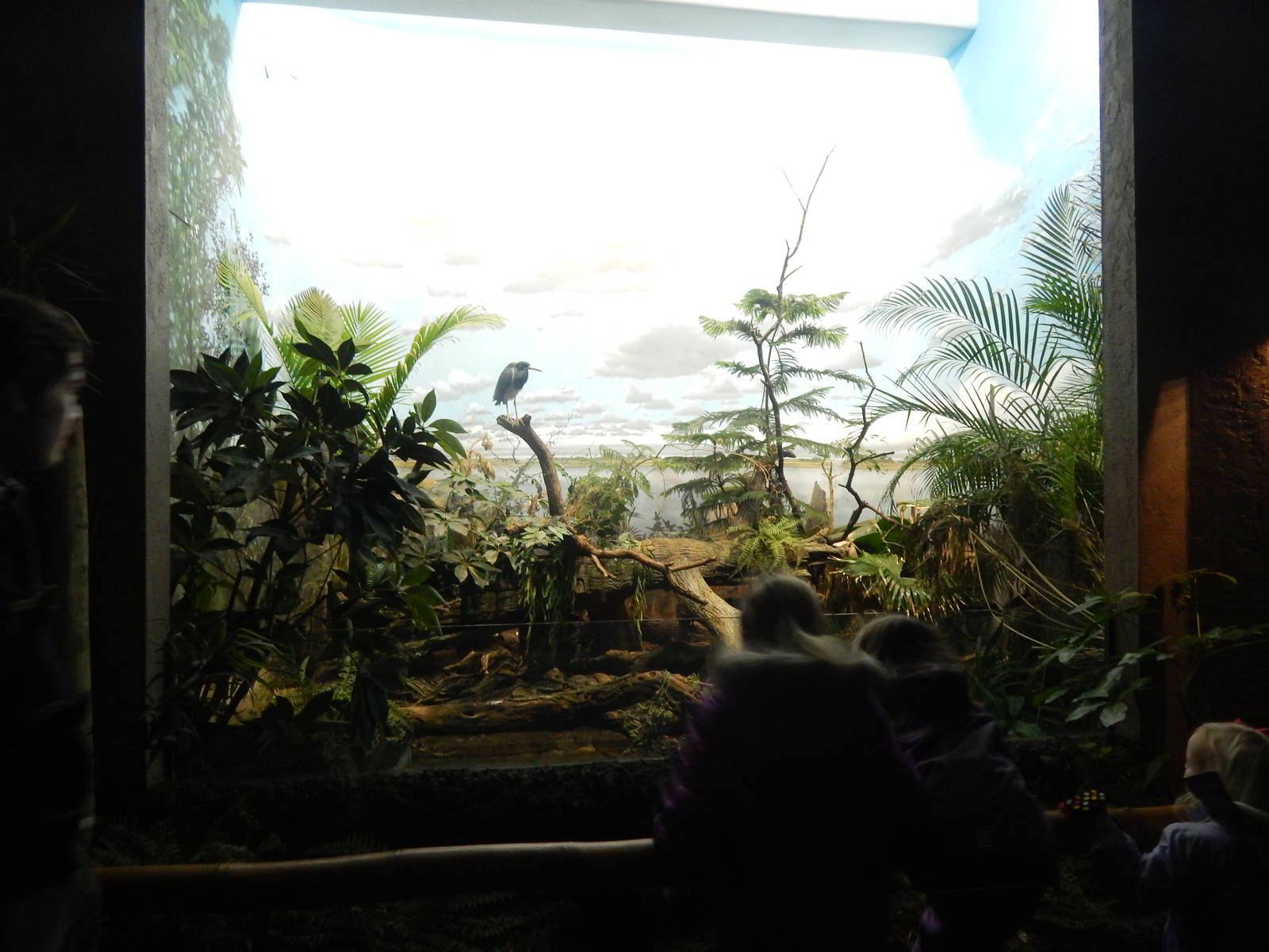 Festival of Lights 2013 - Wings of the World - Wetlands Exhibit