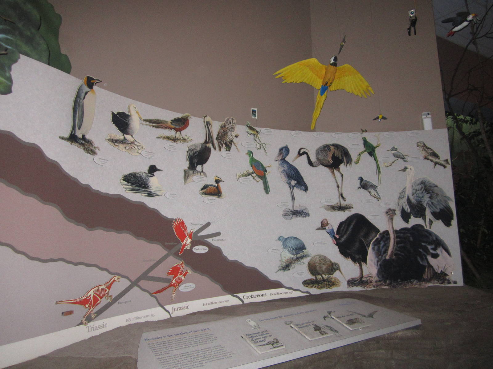 Festival of Lights 2013 - Wings of the World