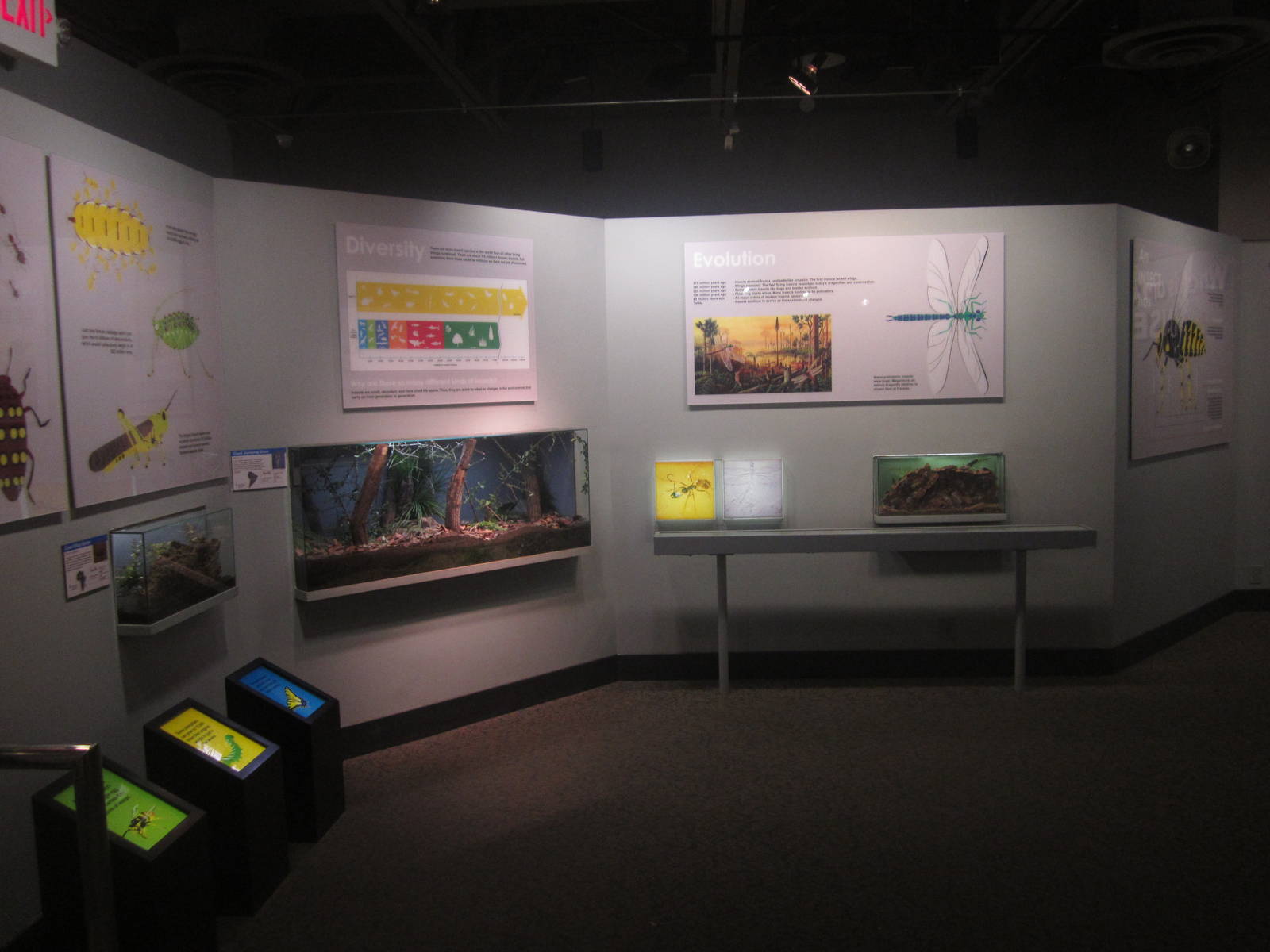 Festival of Lights 2013 - World of the Insect