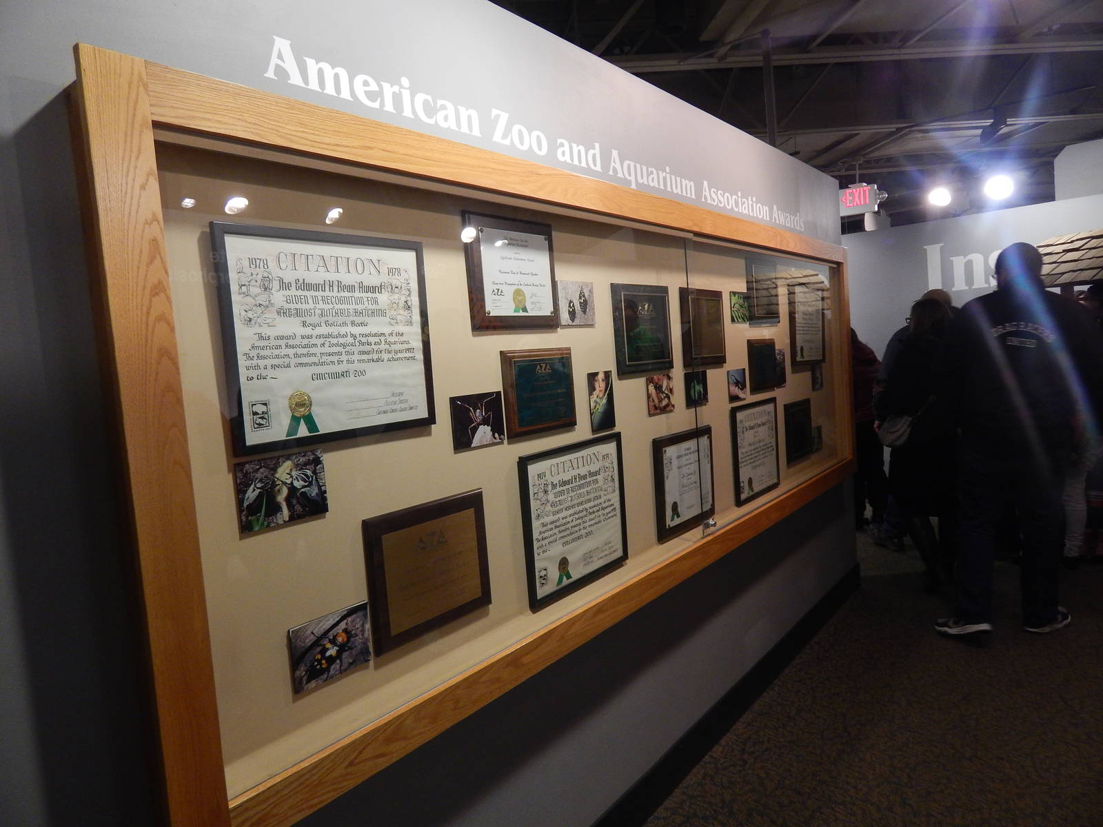 Festival of Lights 2013 - World of the Insect's AZA Awards