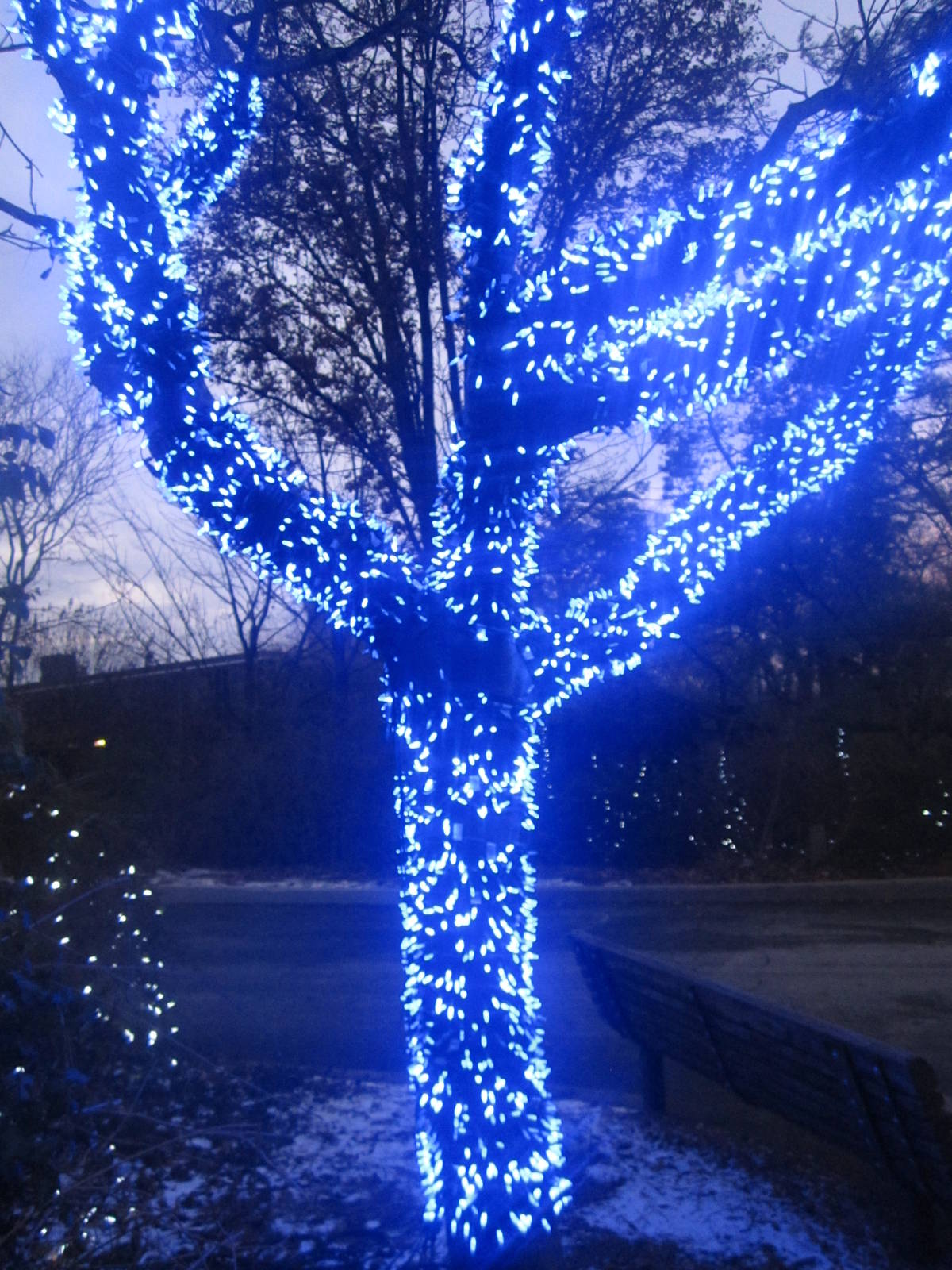 Festival of Lights 2013