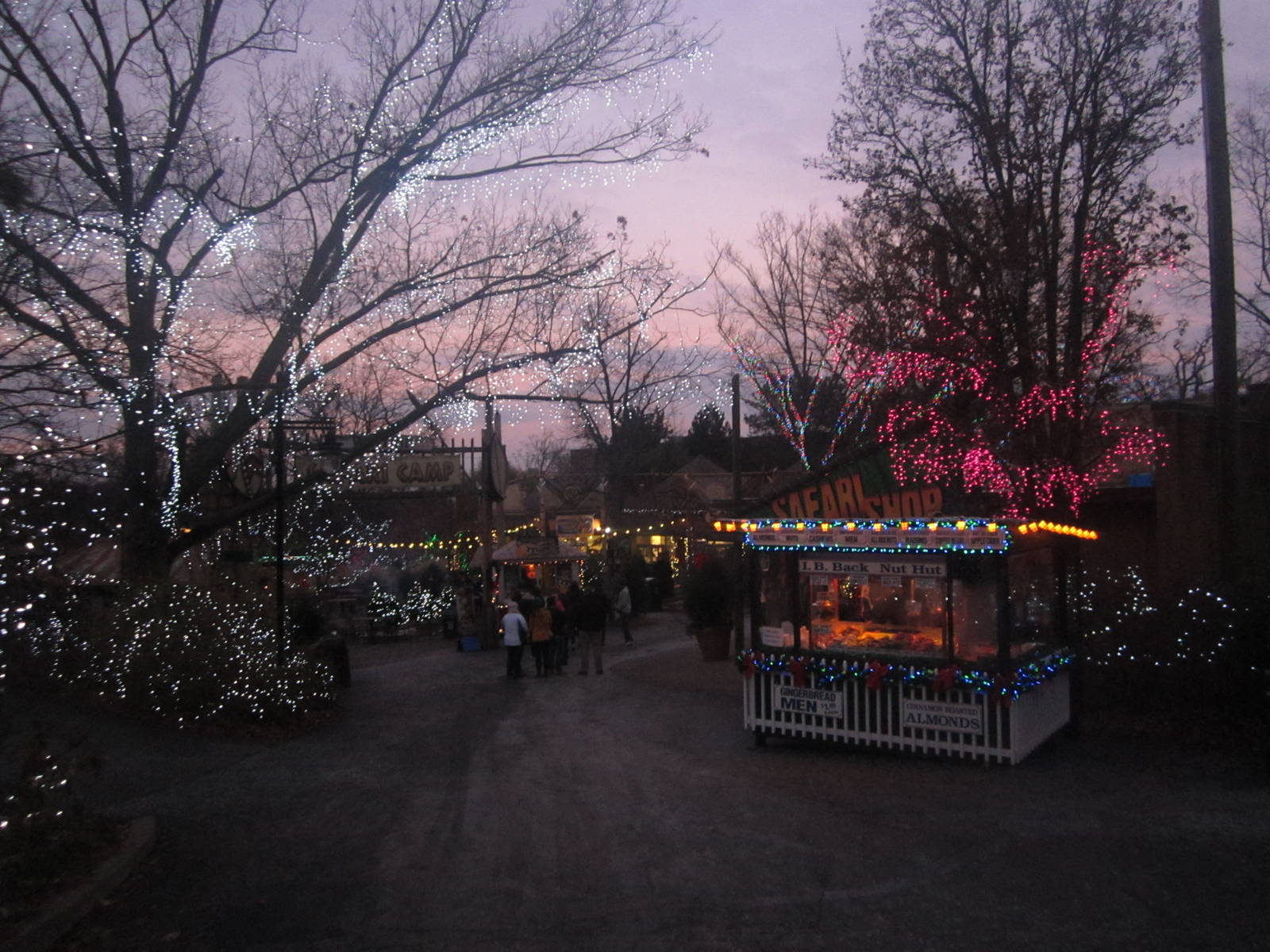 Festival of Lights 2013