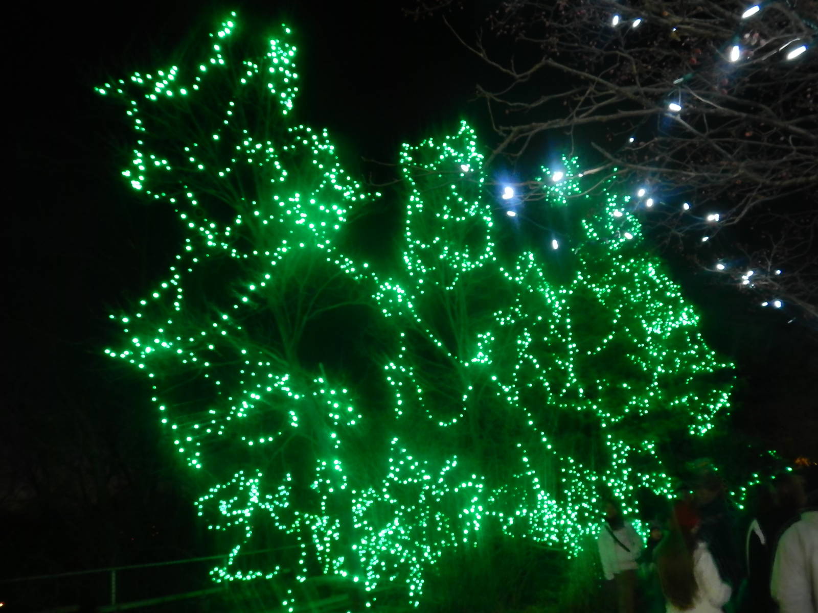 Festival of Lights 2013