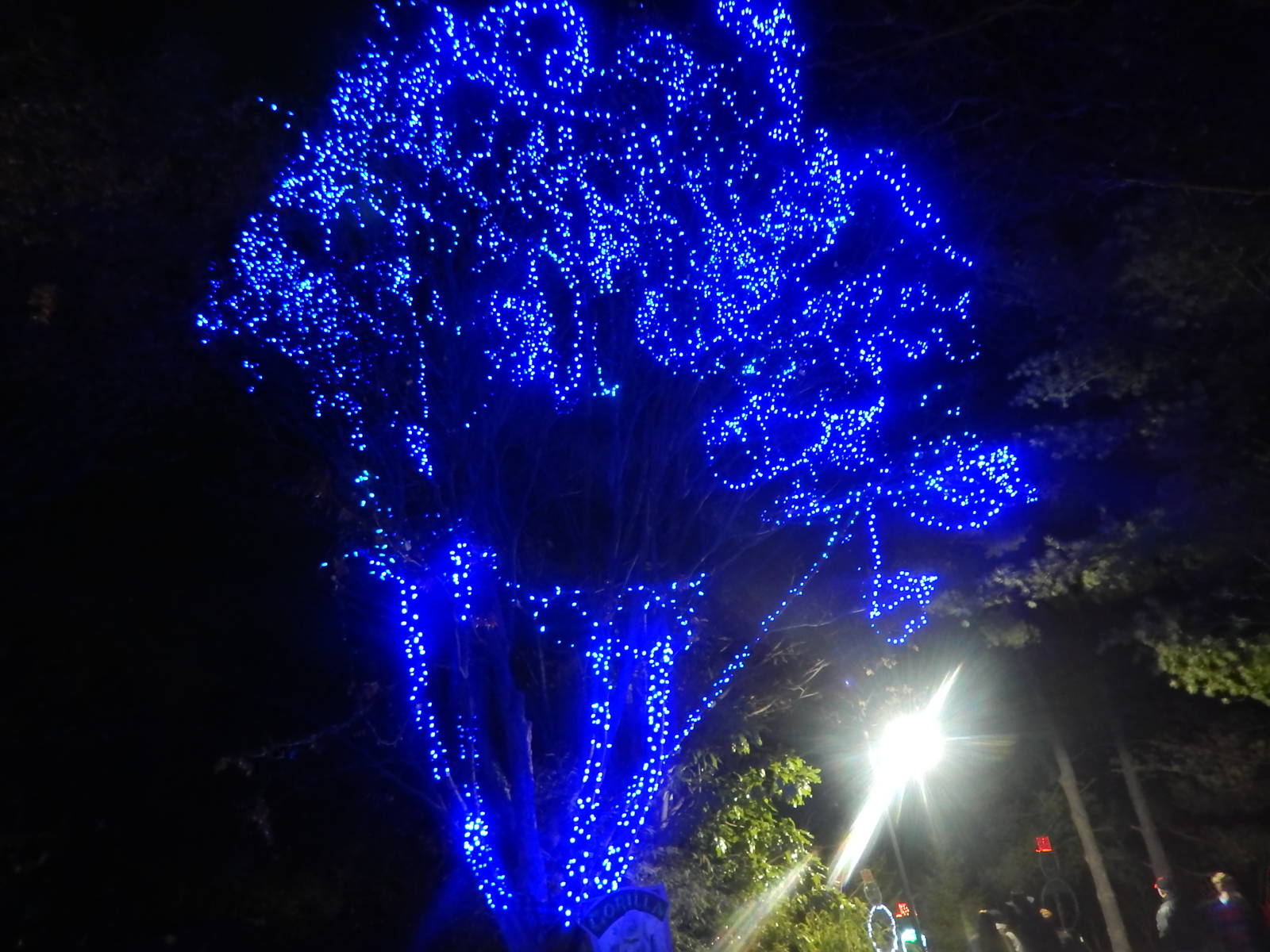 Festival of Lights 2013