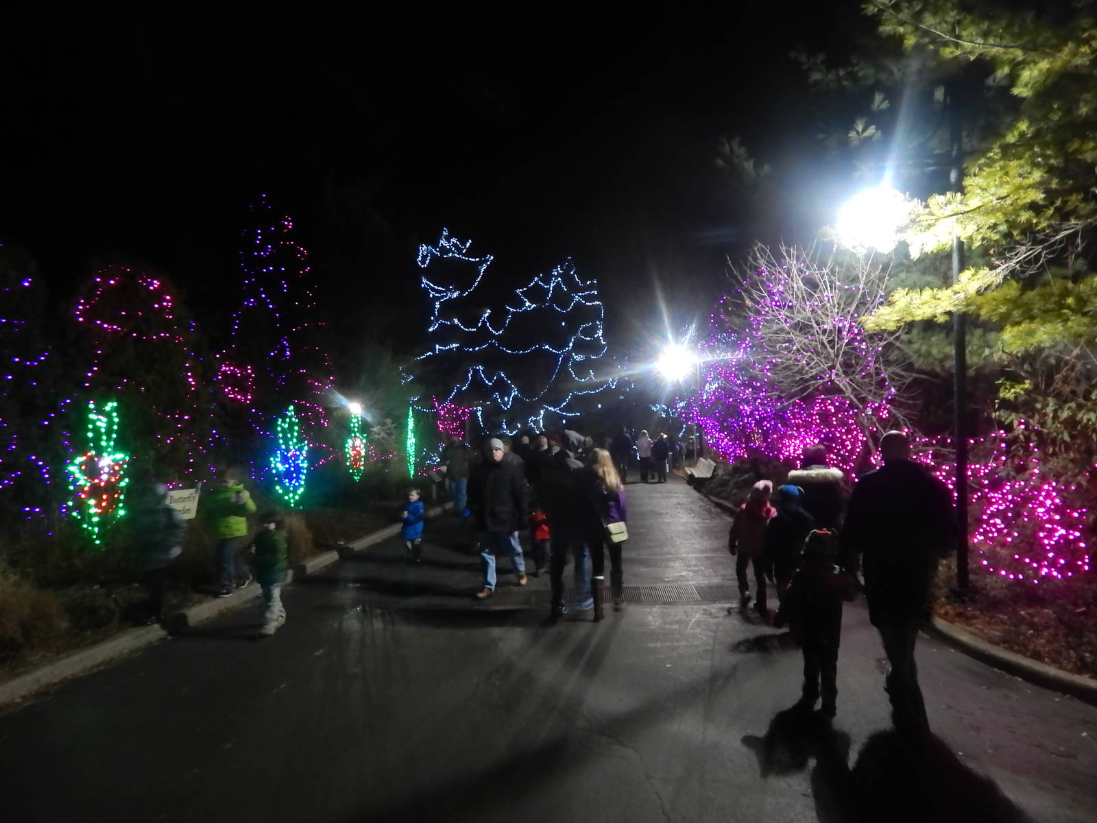 Festival of Lights 2013