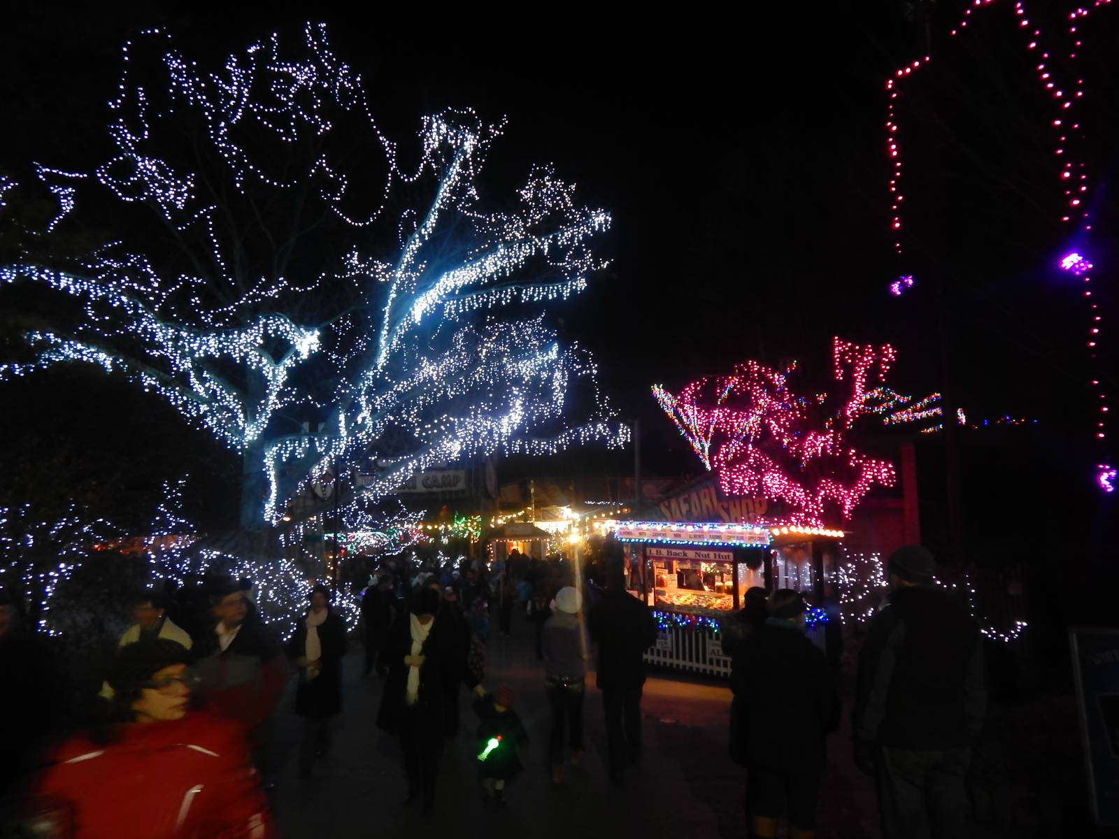 Festival of Lights 2013