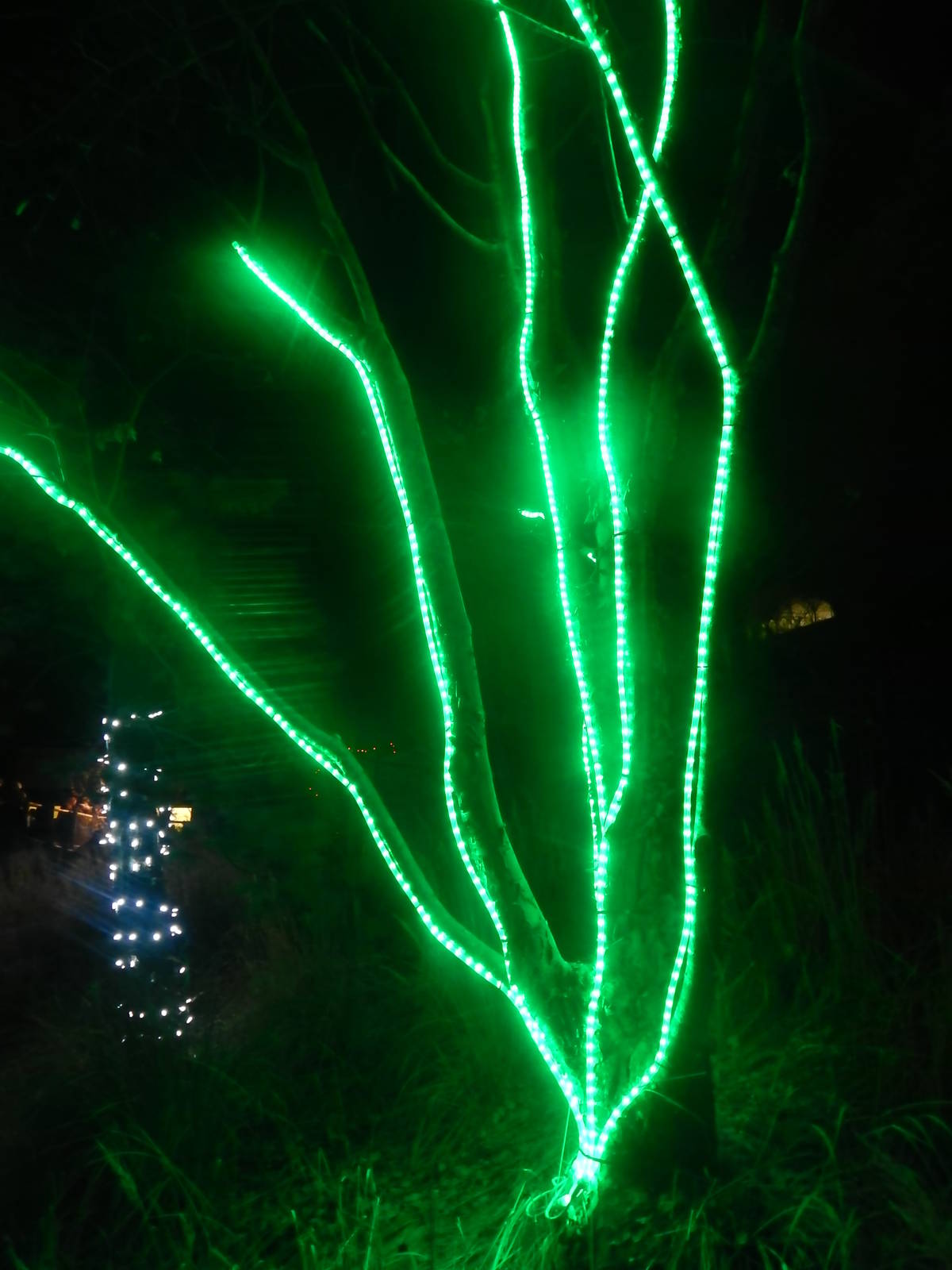 Festival of Lights 2013