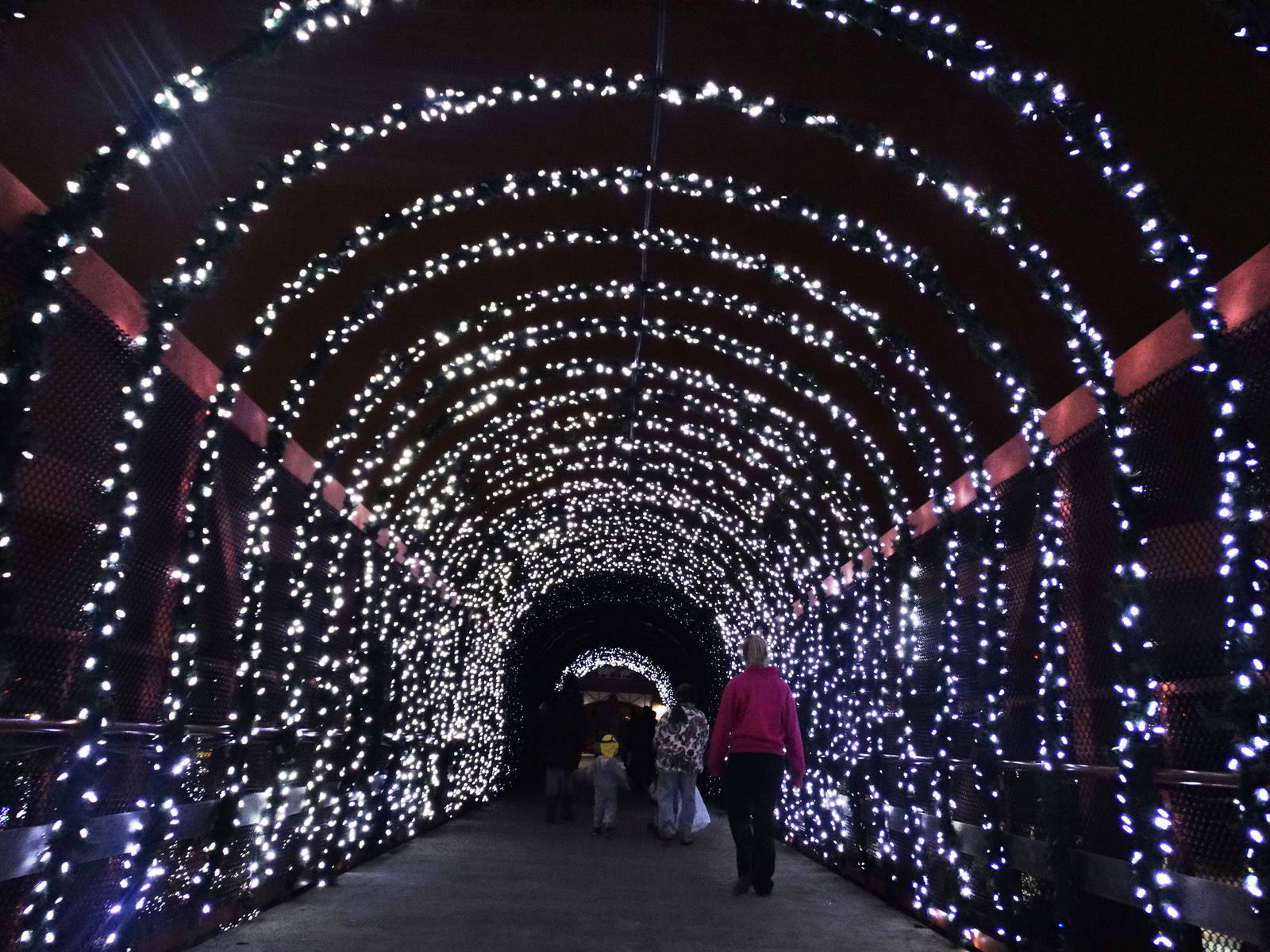 Festival of Lights 2015 - Entrance Bridge