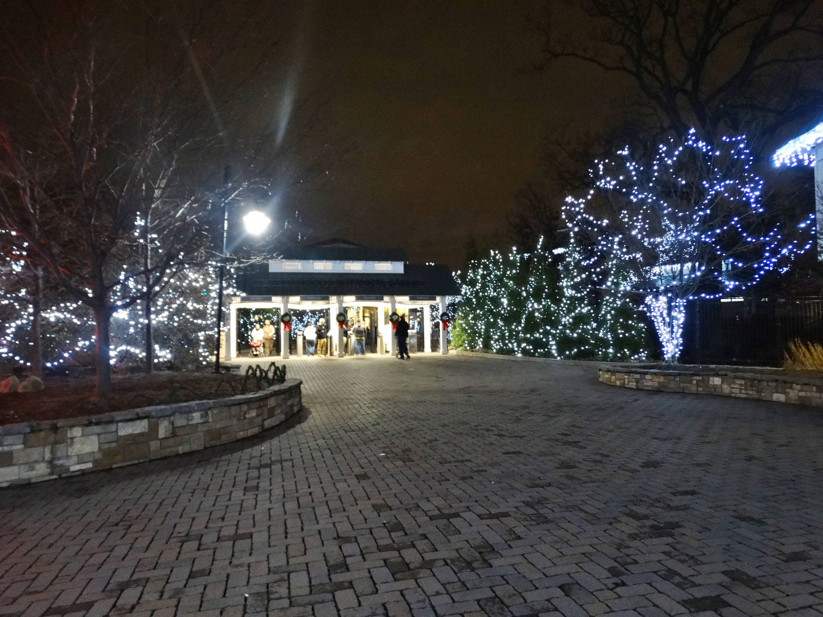 Festival of Lights 2015 - Entrance