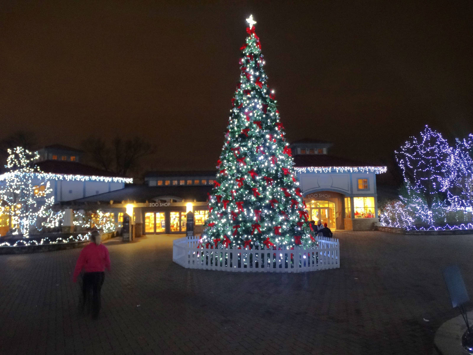Festival of Lights 2015 - Historic Vine Street Village