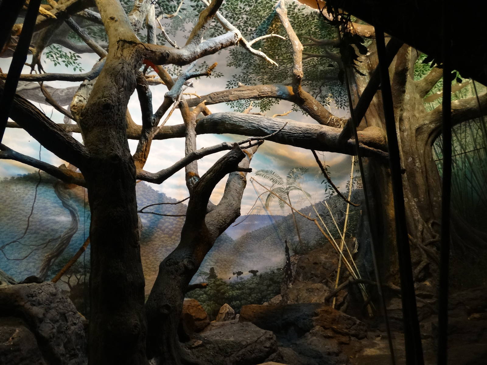 Festival of Lights 2015 - Jungle Trails - Aye-Aye Exhibit (Reversed Lightin