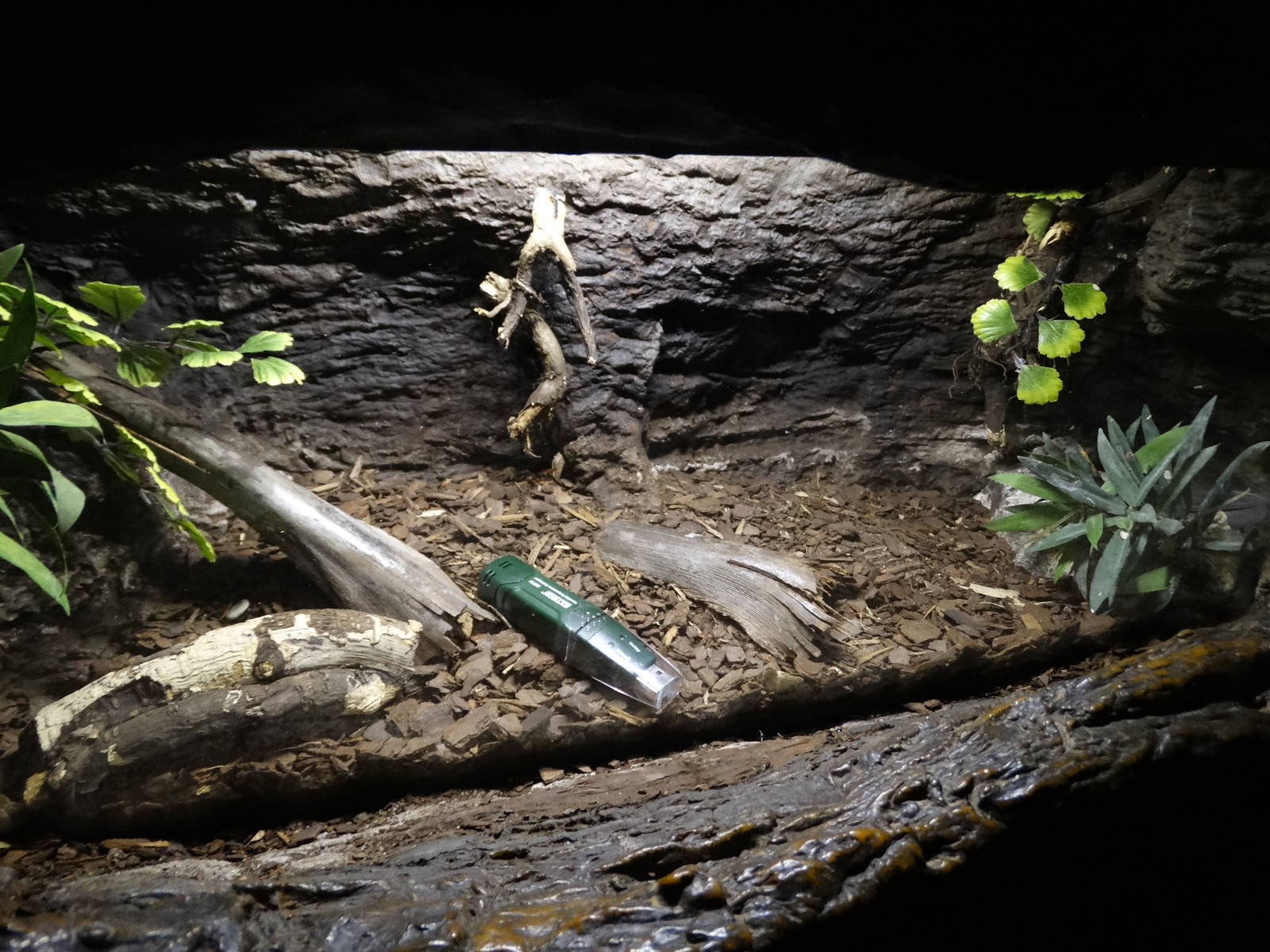 Festival of Lights 2015 - Jungle Trails - Flashdrive Exhibit