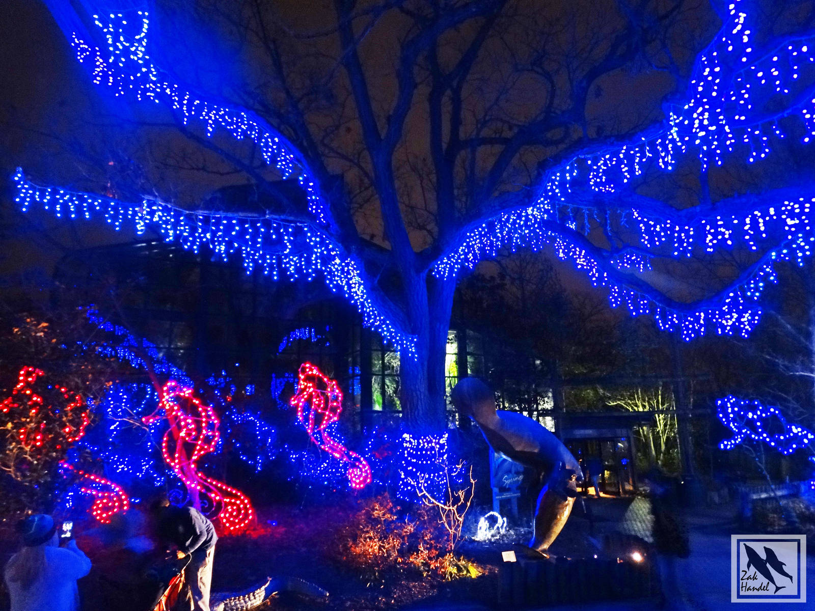 Festival of Lights 2015 - Manatee Springs