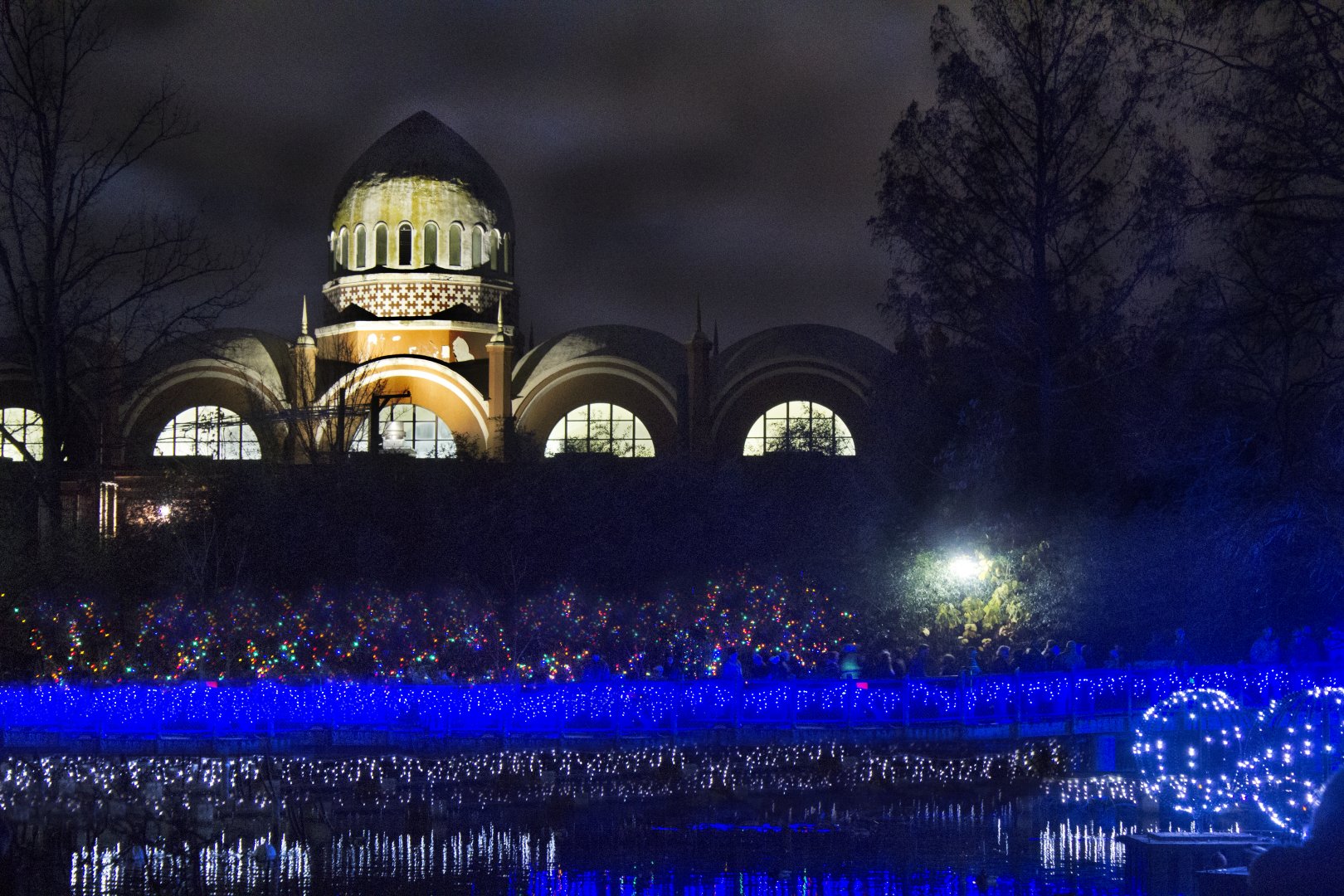 Festival of Lights 2016 - Elephant House