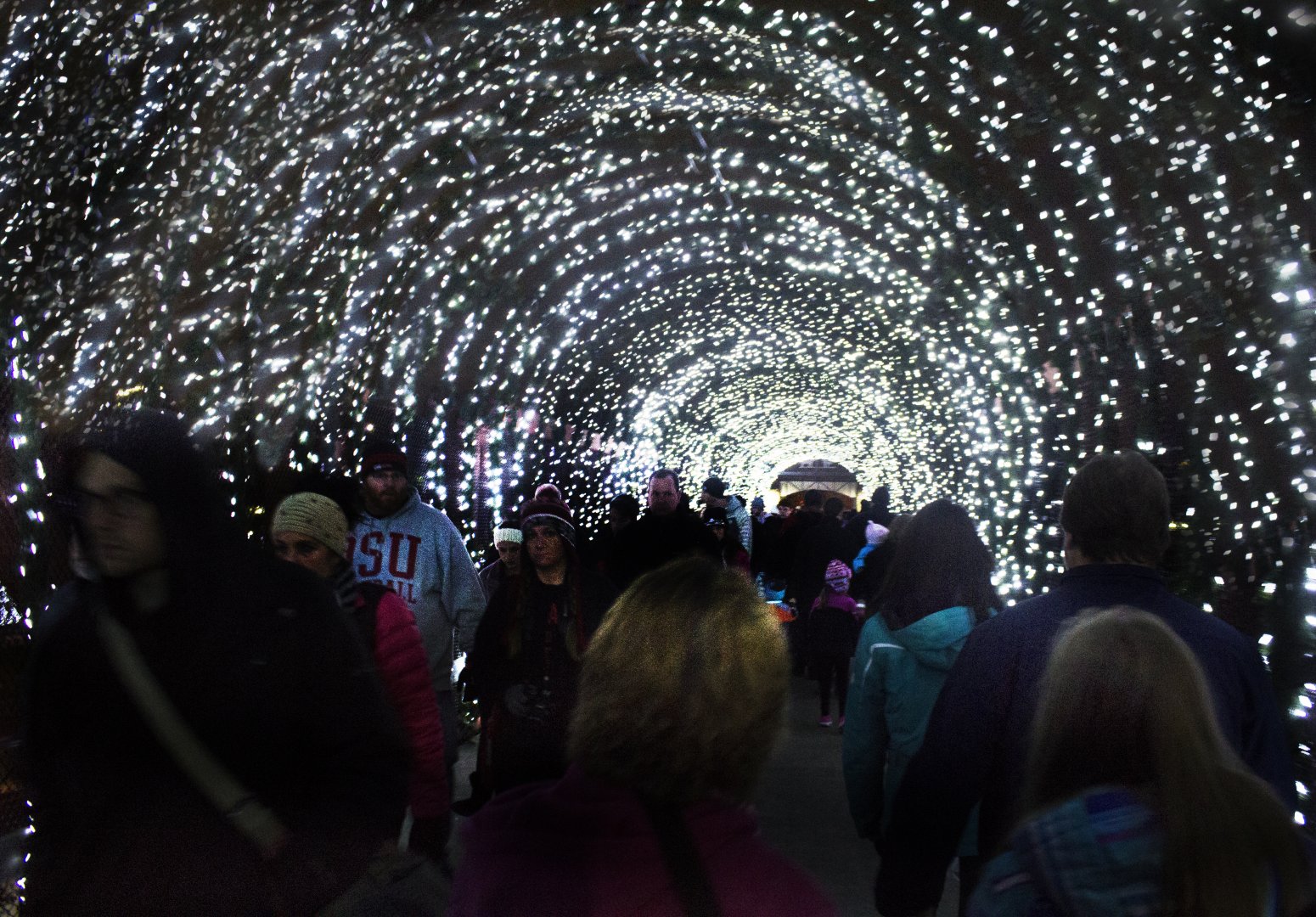 Festival of Lights 2016 - Entrance and Exit Bridge (Exit)