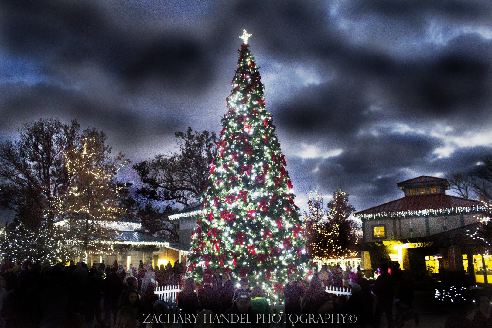 Festival of Lights 2016