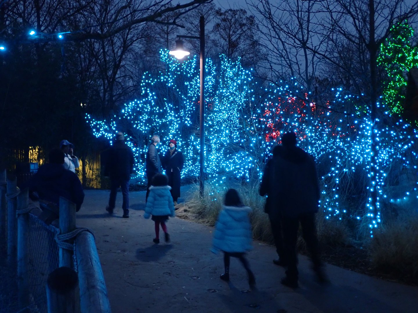 Festival of Lights 2018-2019