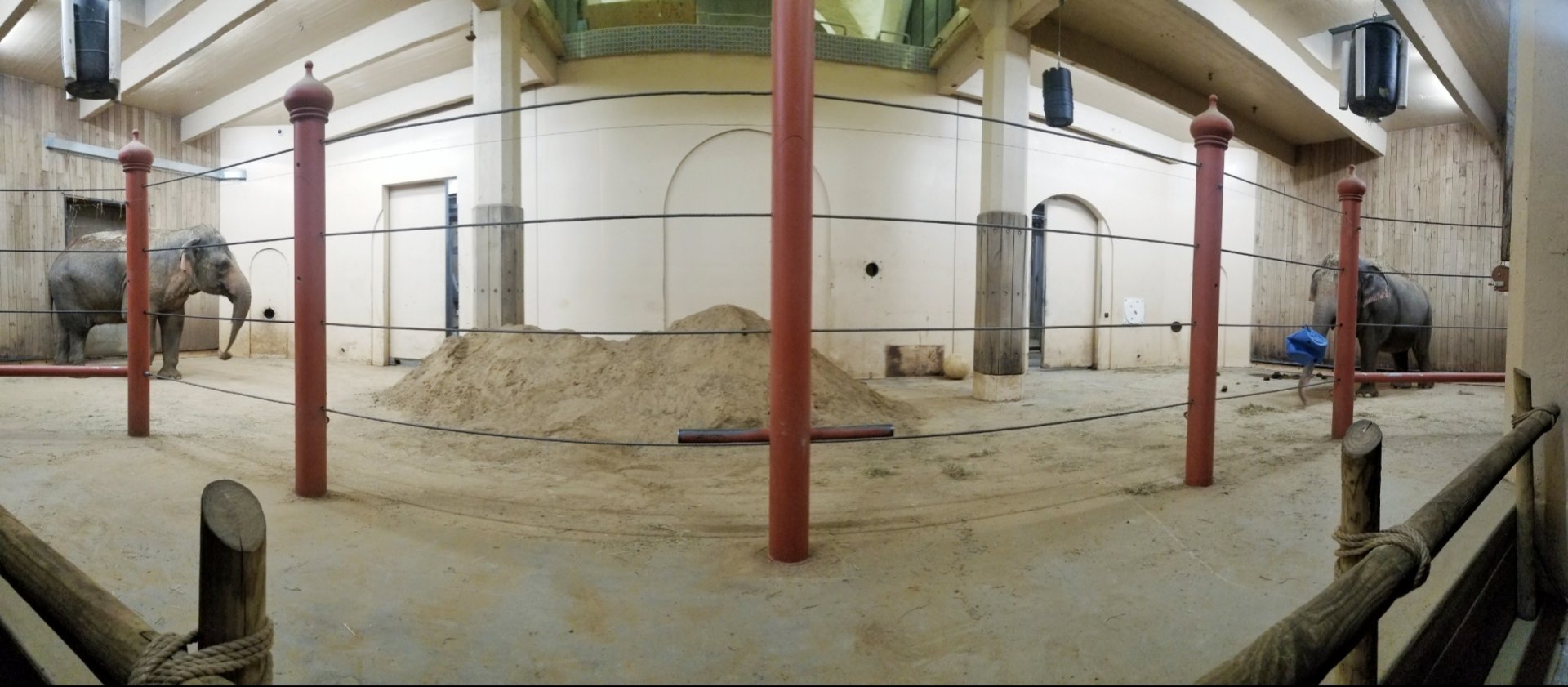 Festival of Lights 2018 - Elephant Reserve - Elephant House Panorama