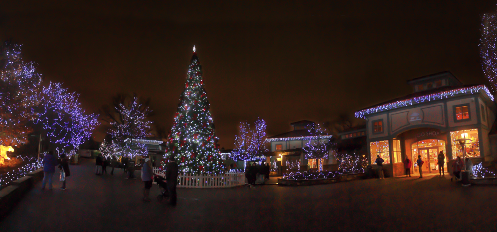 Festival of Lights 2018 - Historic Vine Street Village