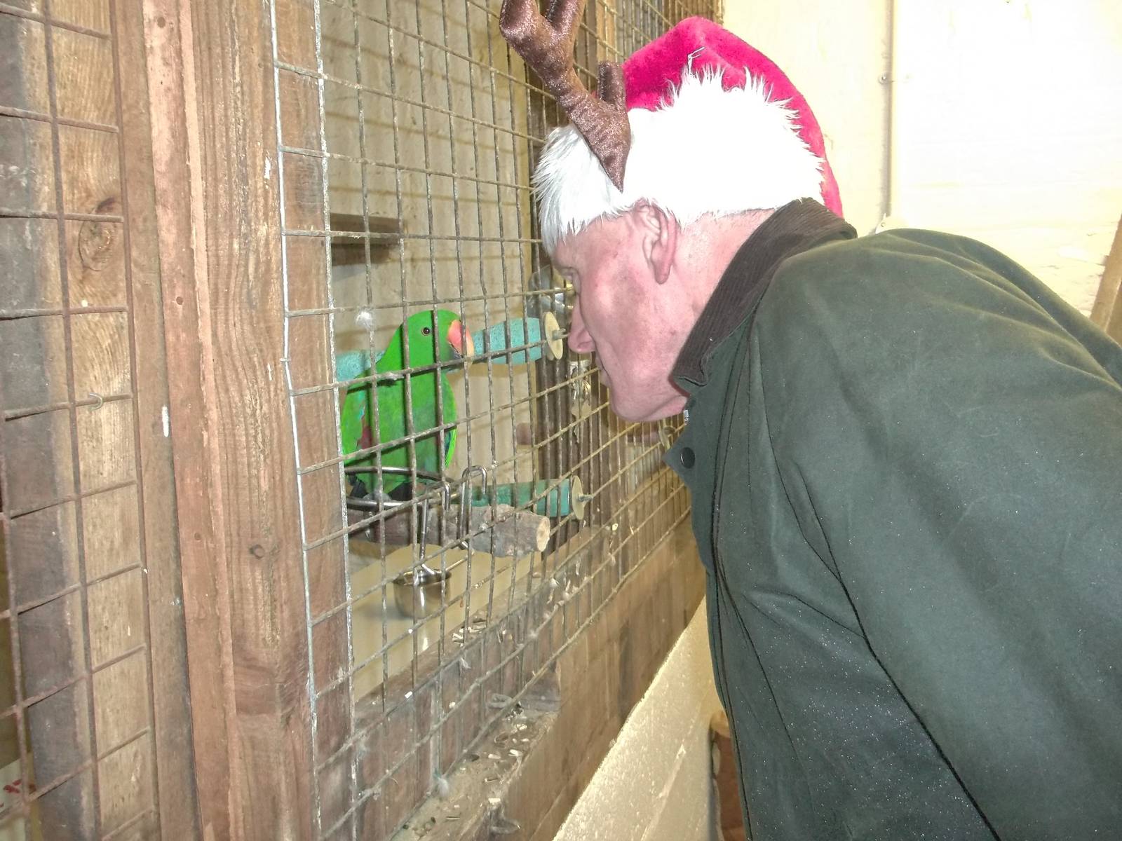 Festive greetings for Eckie, 24th December 2014