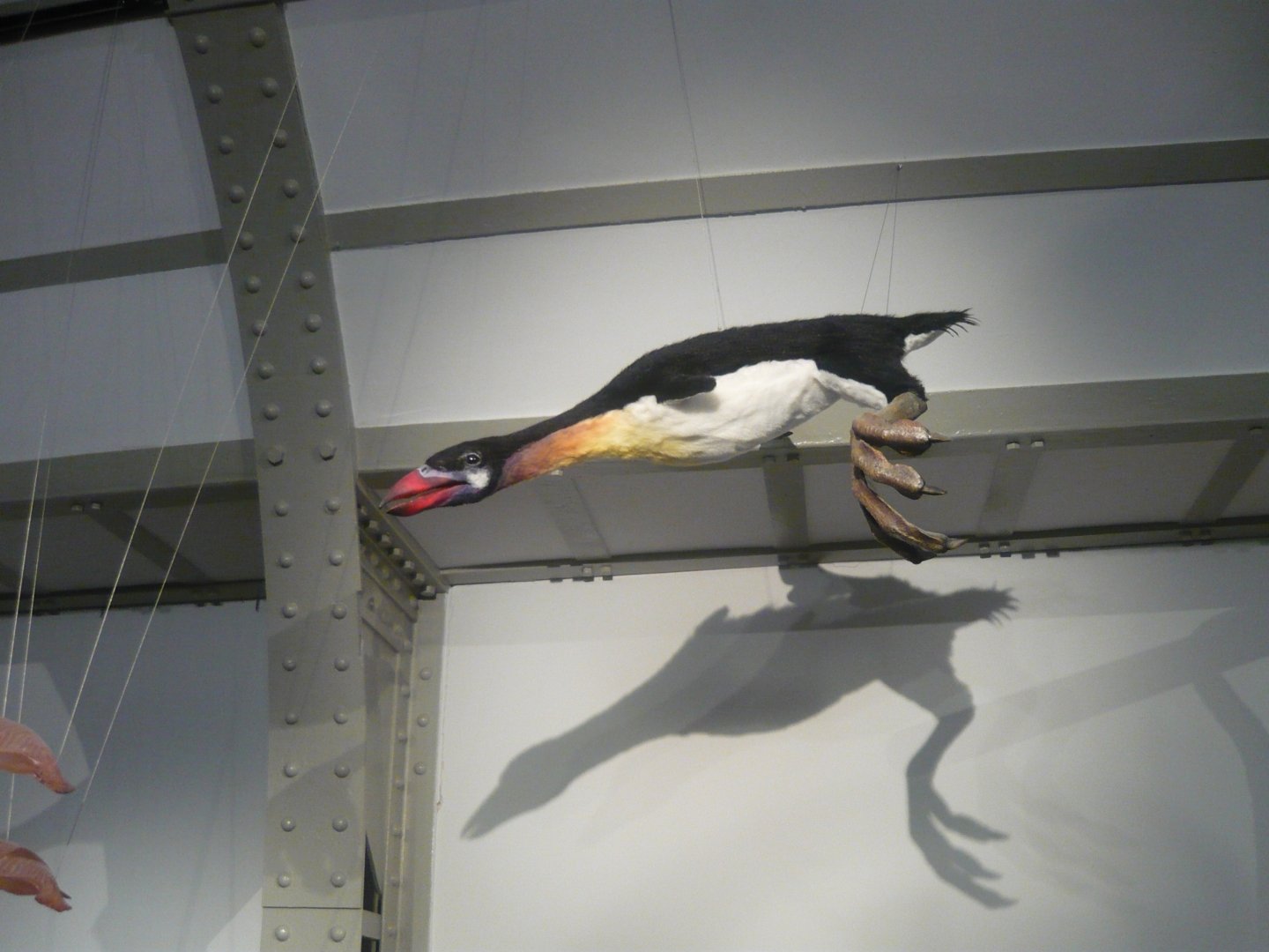 Fictional future diving bird