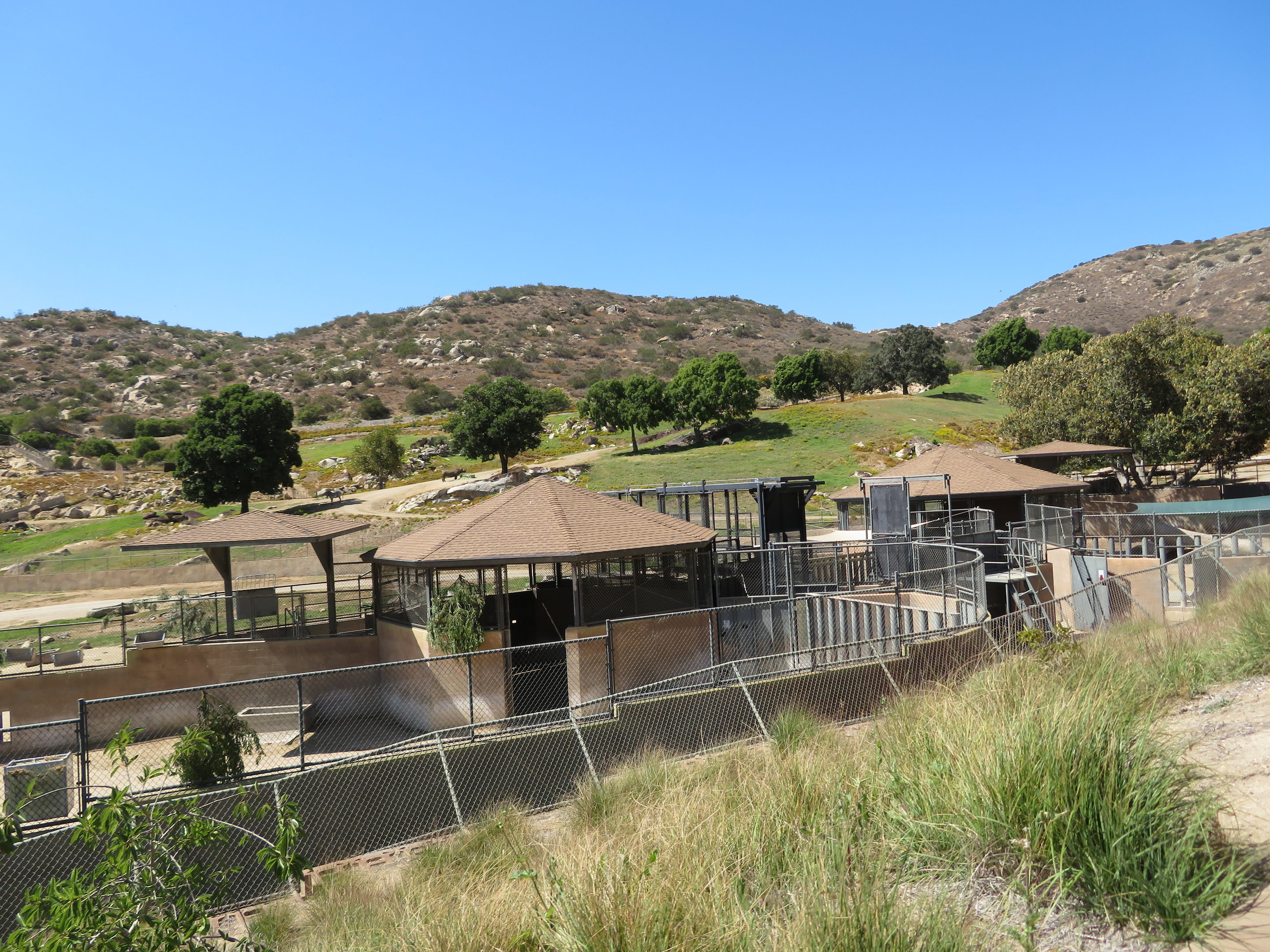 Field Exhibit Holding Pens