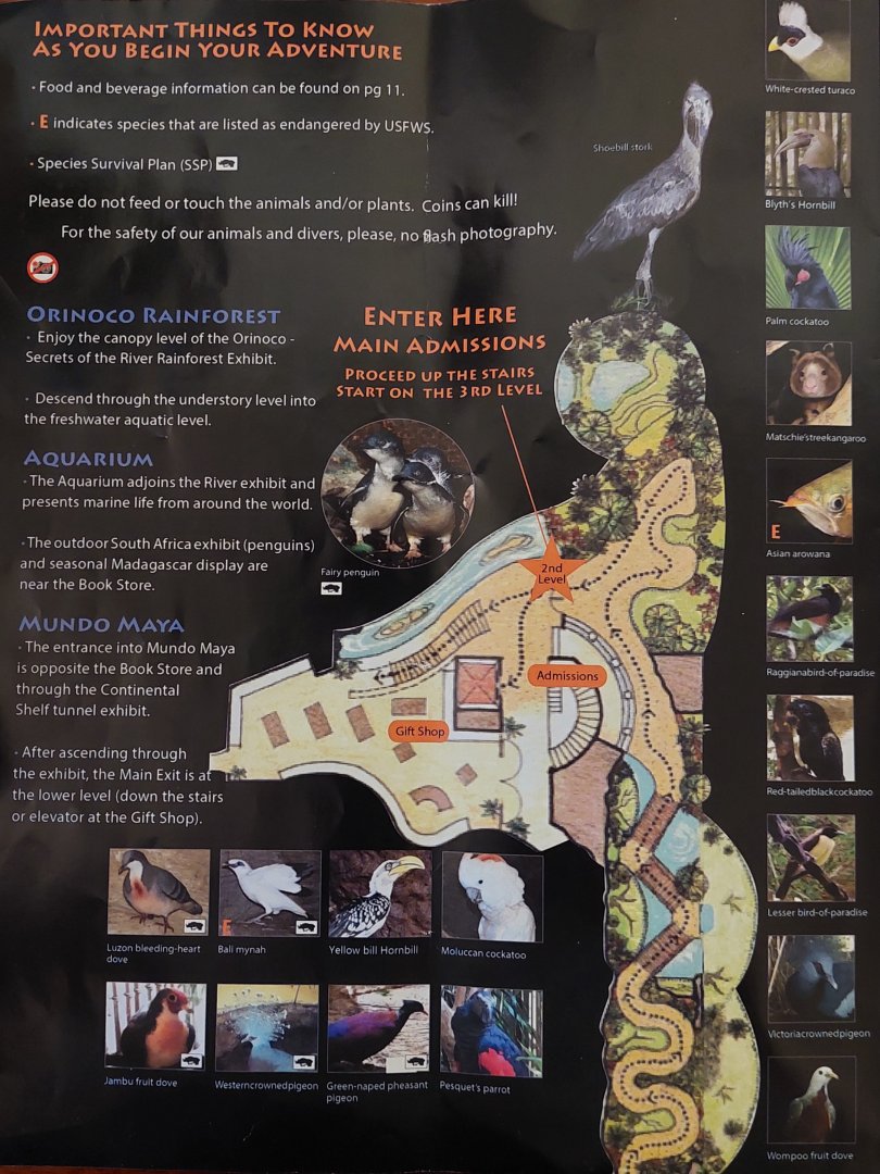 Field Guide Map: 'Borneo' entrance area