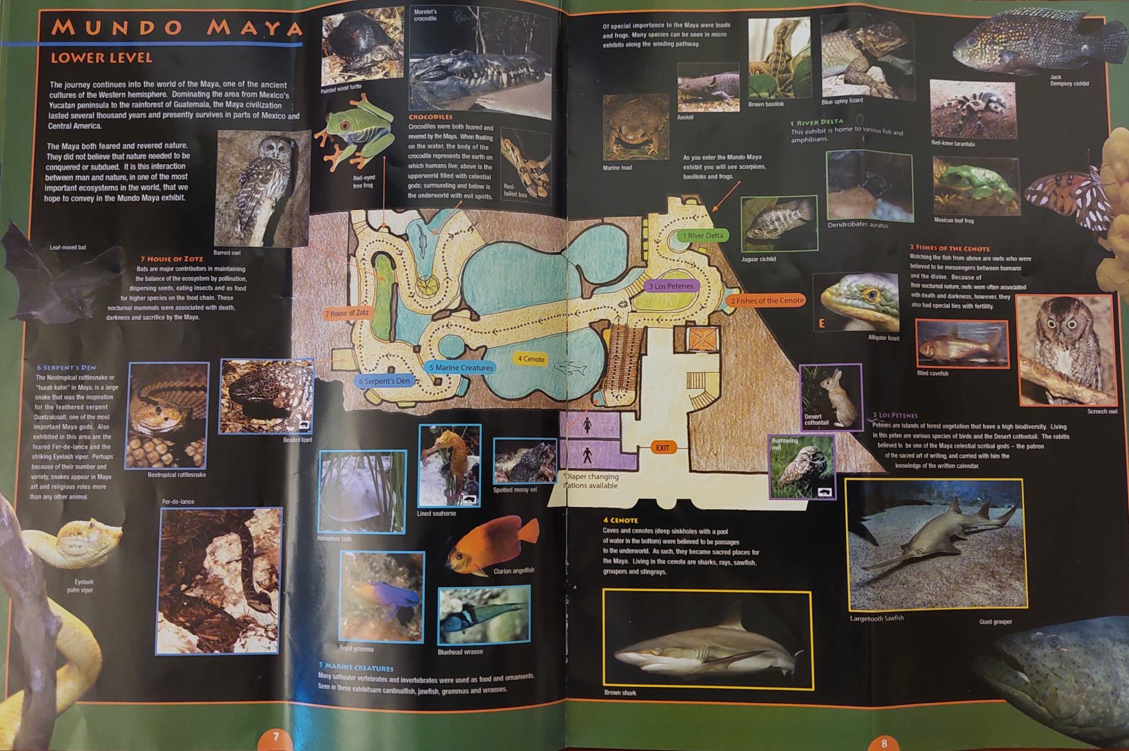Field Guide Map: Mundo Maya lower level