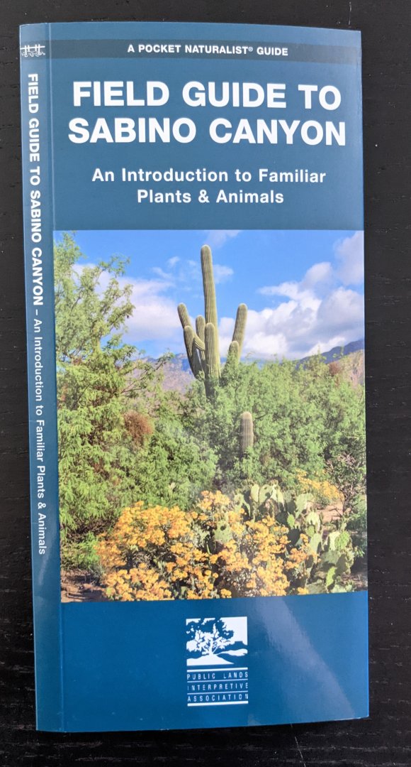 Field Guide to Sabino Canyon