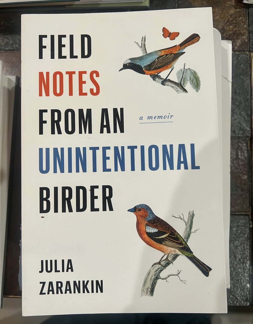 Field Notes from an Unintentional Birder
