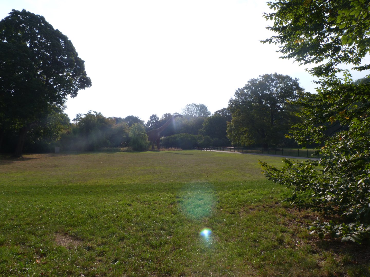 Field view -Tierpark Berlin (2024)